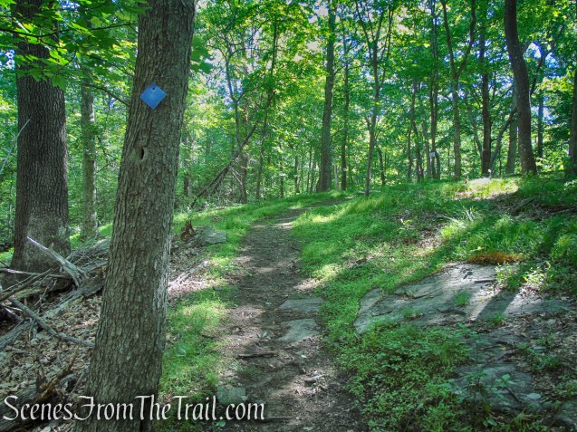 Lower Loop - St. Matthew's Church Woodlands