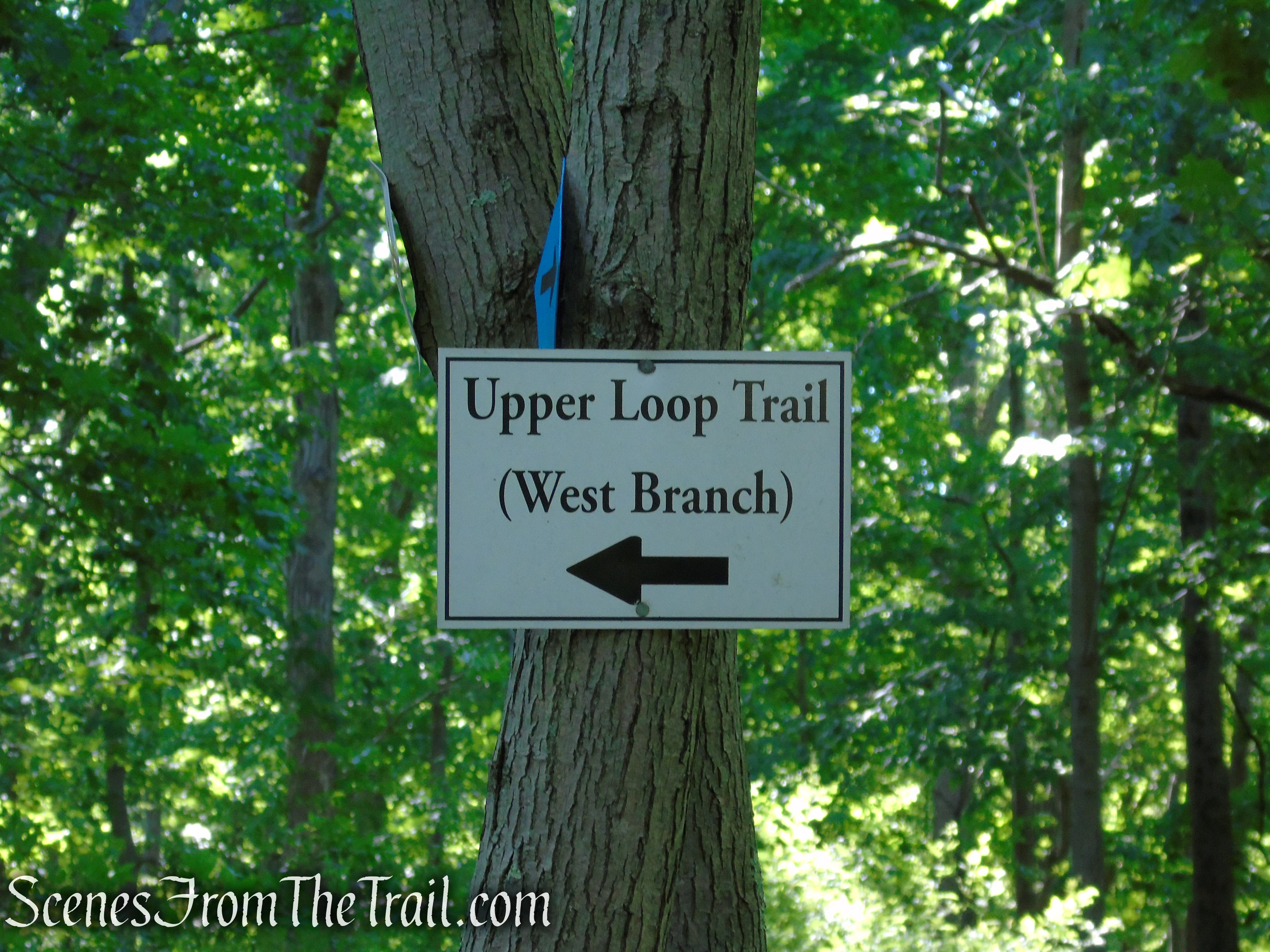 Lower Loop/Upper Loop junction - St. Matthew's Church Woodlands 