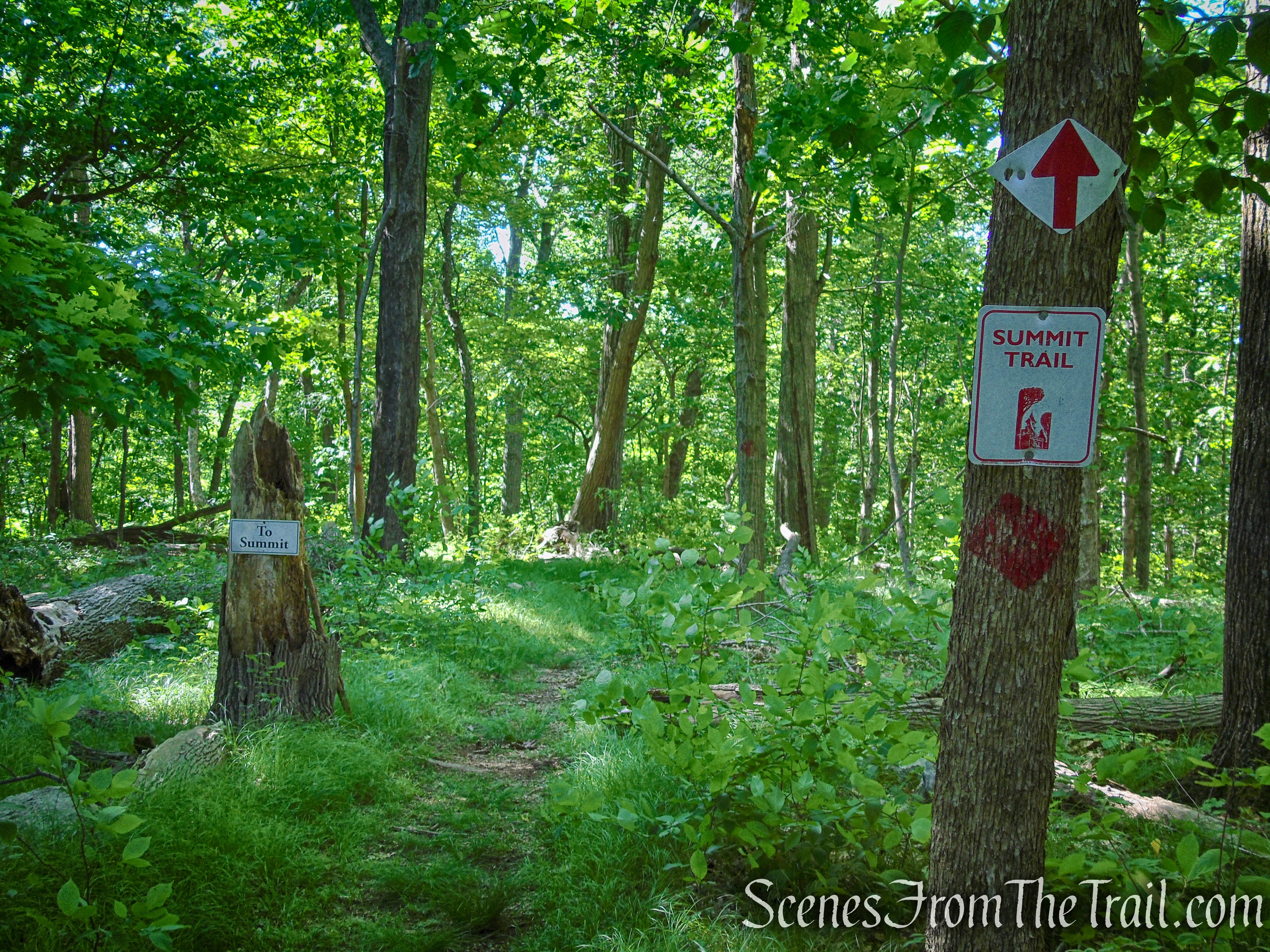 Summit Trail - St. Matthew's Church Woodlands