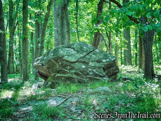 Summit Trail - St. Matthew's Church Woodlands