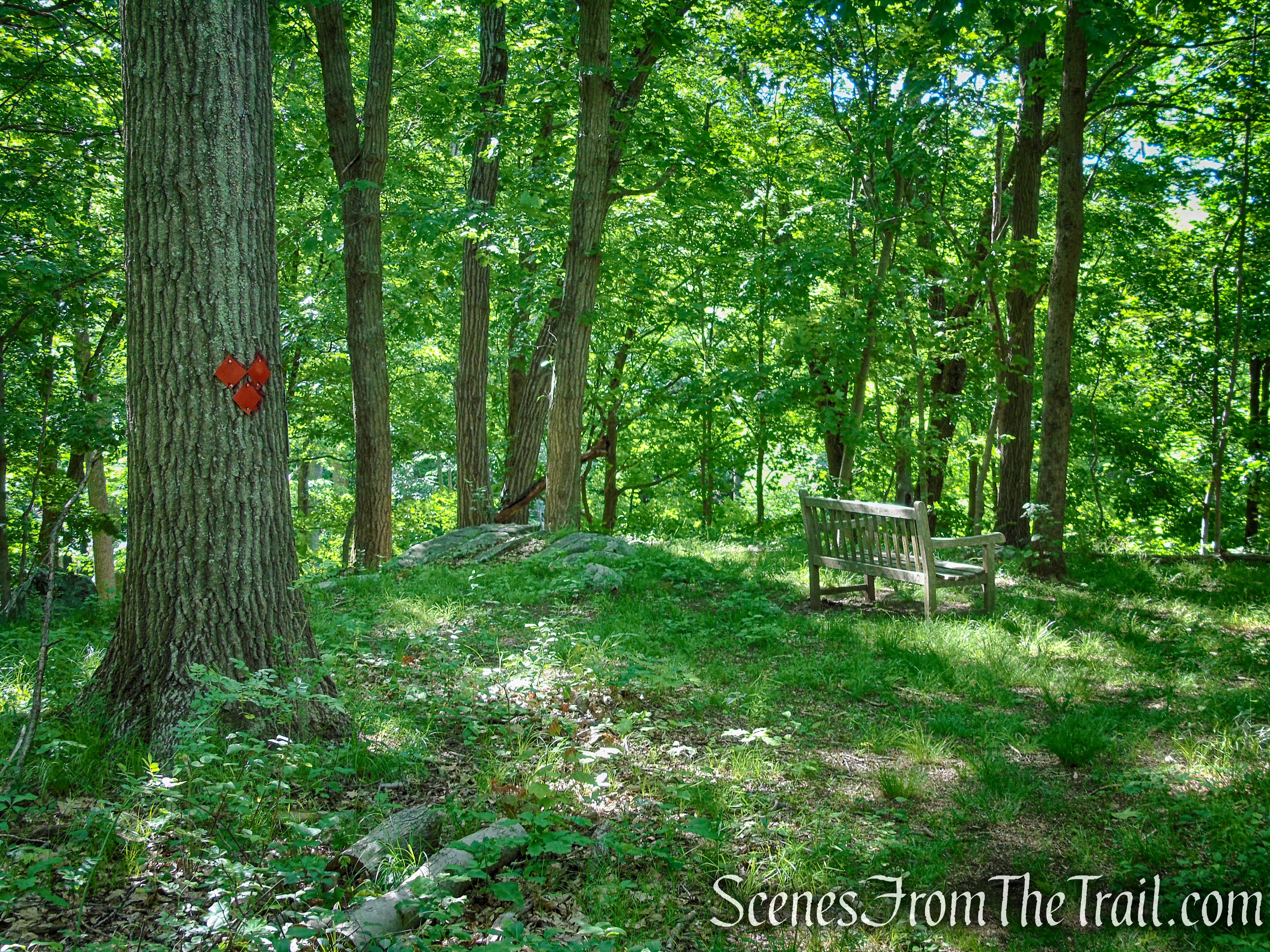 Summit Trail - St. Matthew's Church Woodlands