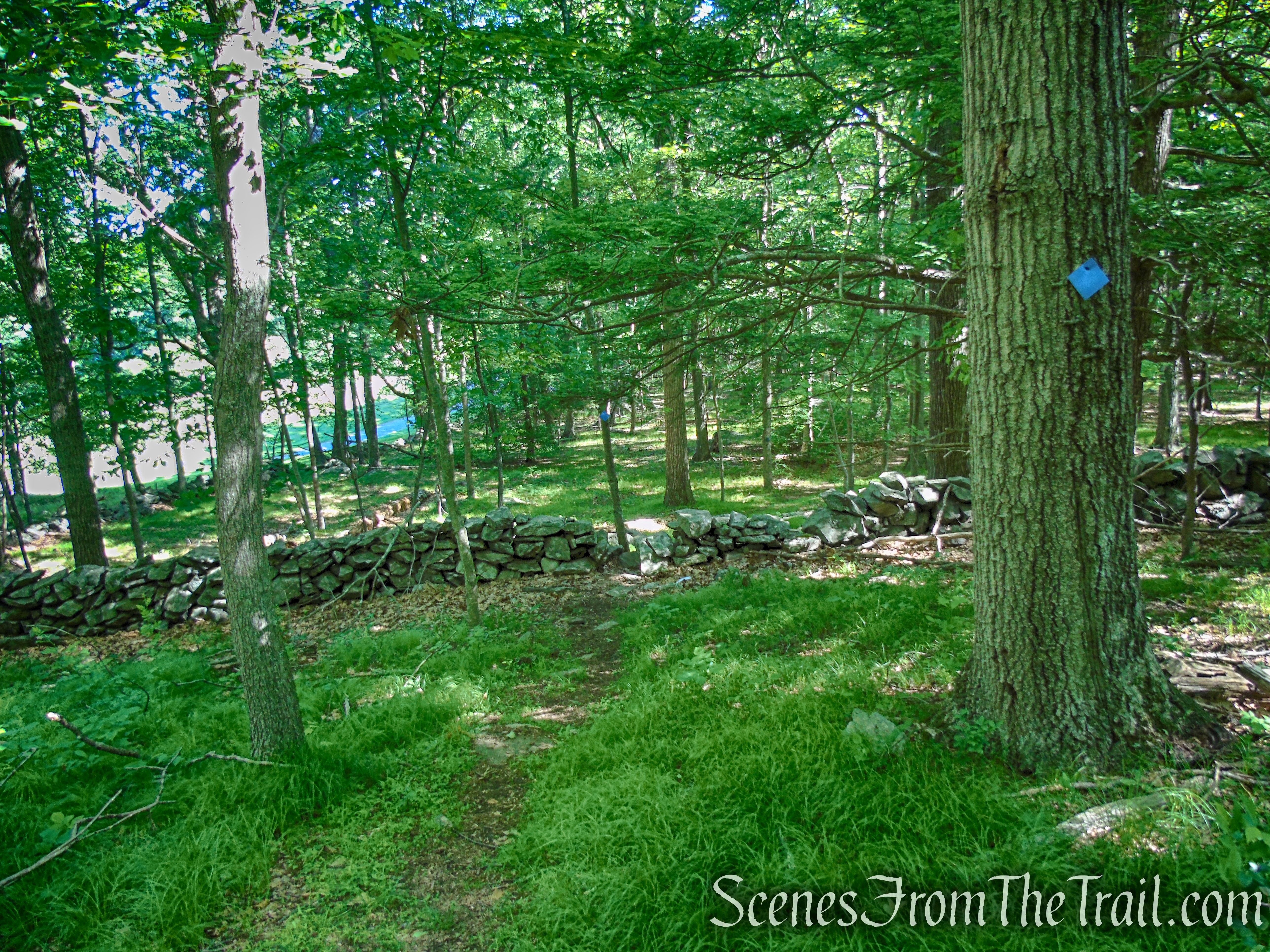 Upper Loop - St. Matthew's Church Woodlands