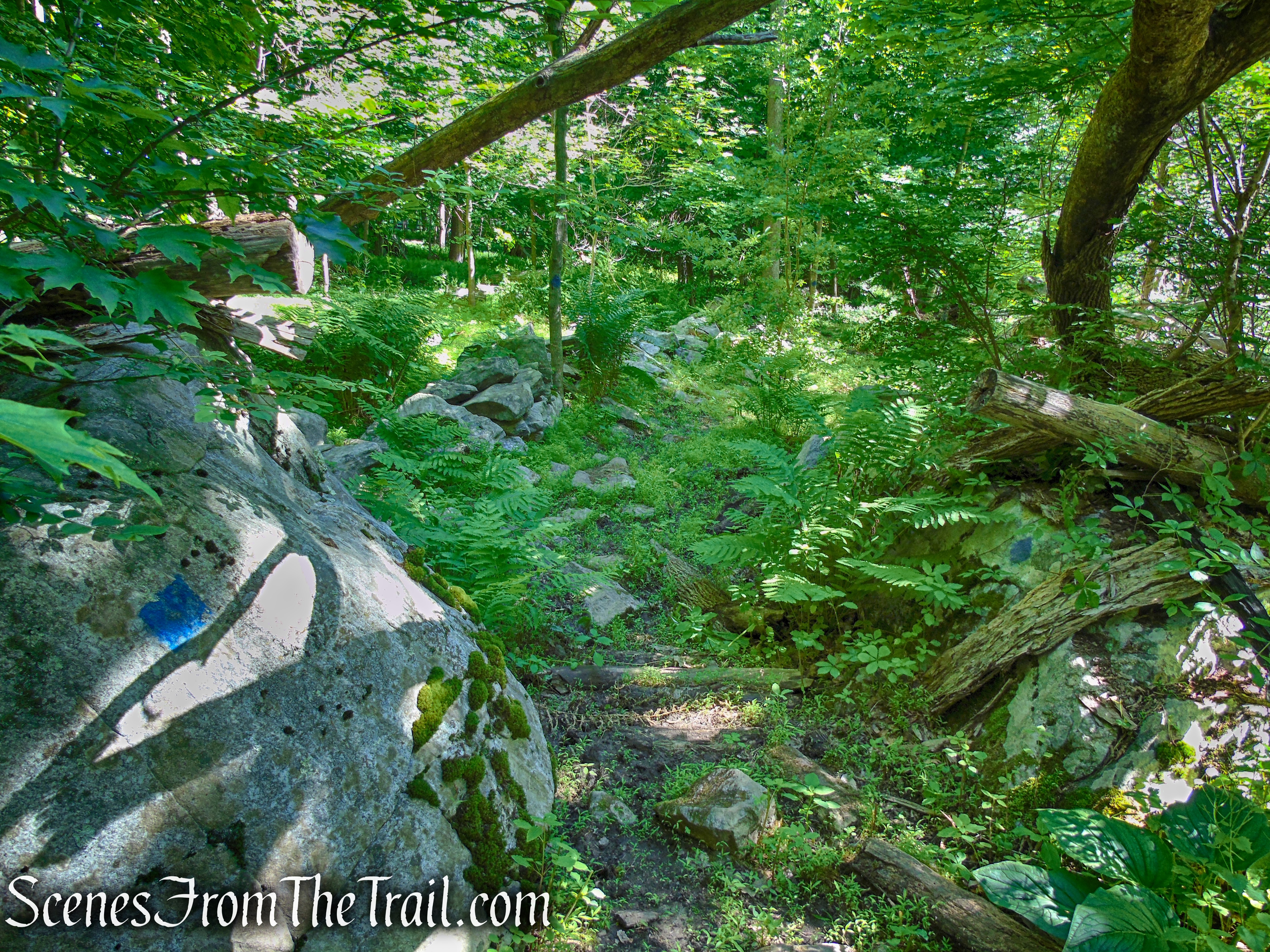 Upper Loop - St. Matthew's Church Woodlands