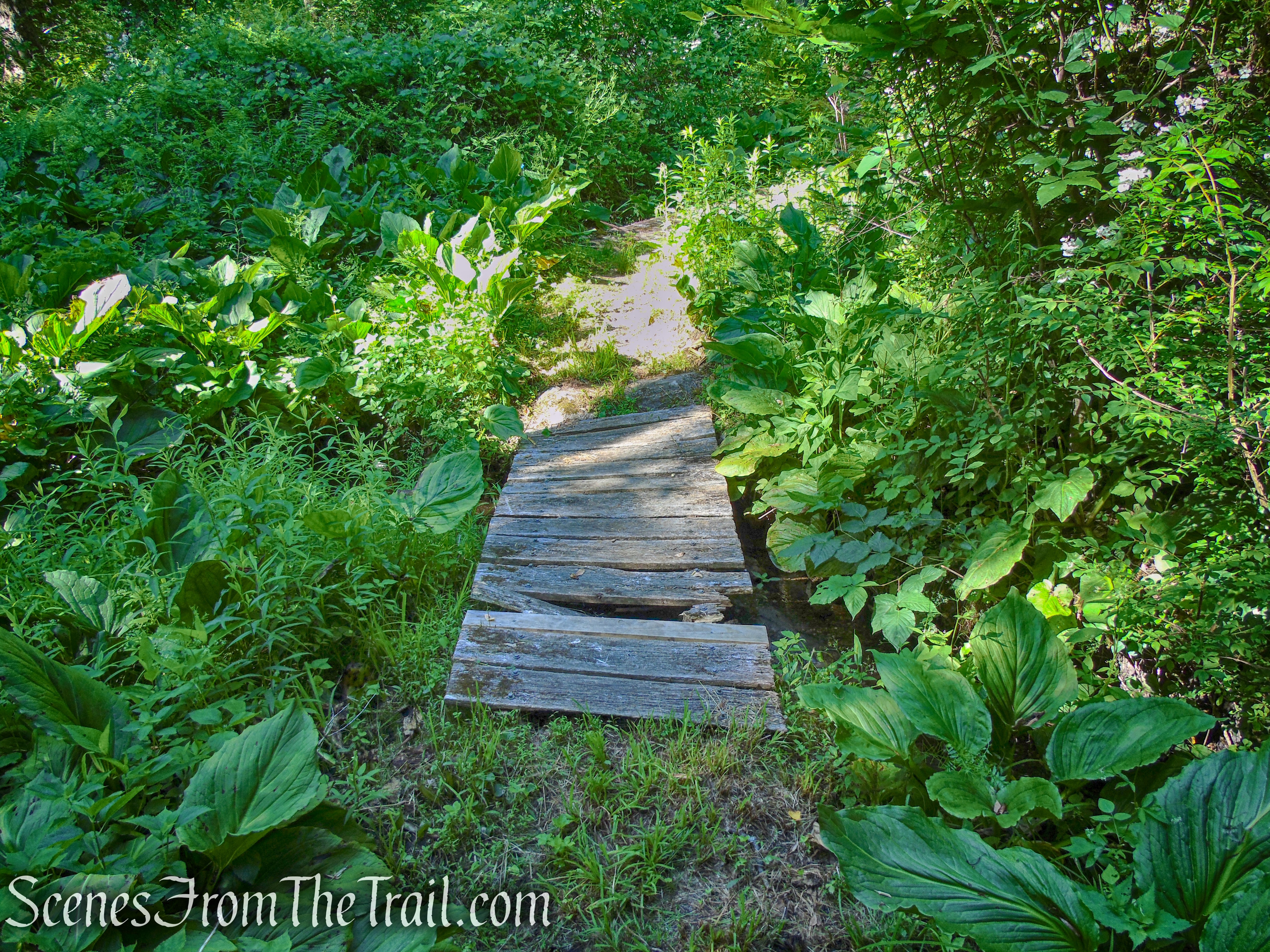 Upper Loop - St. Matthew's Church Woodlands