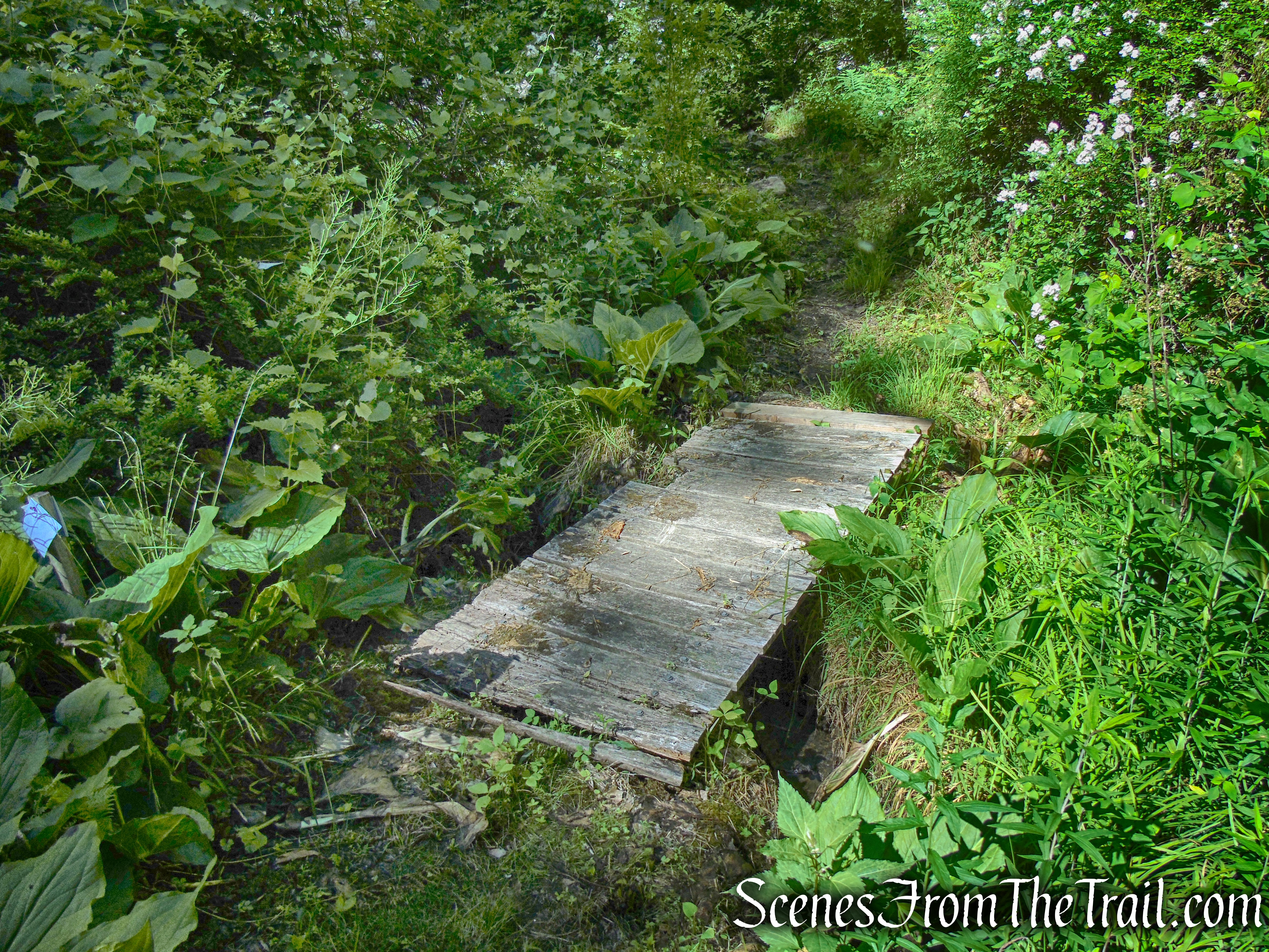Upper Loop - St. Matthew's Church Woodlands