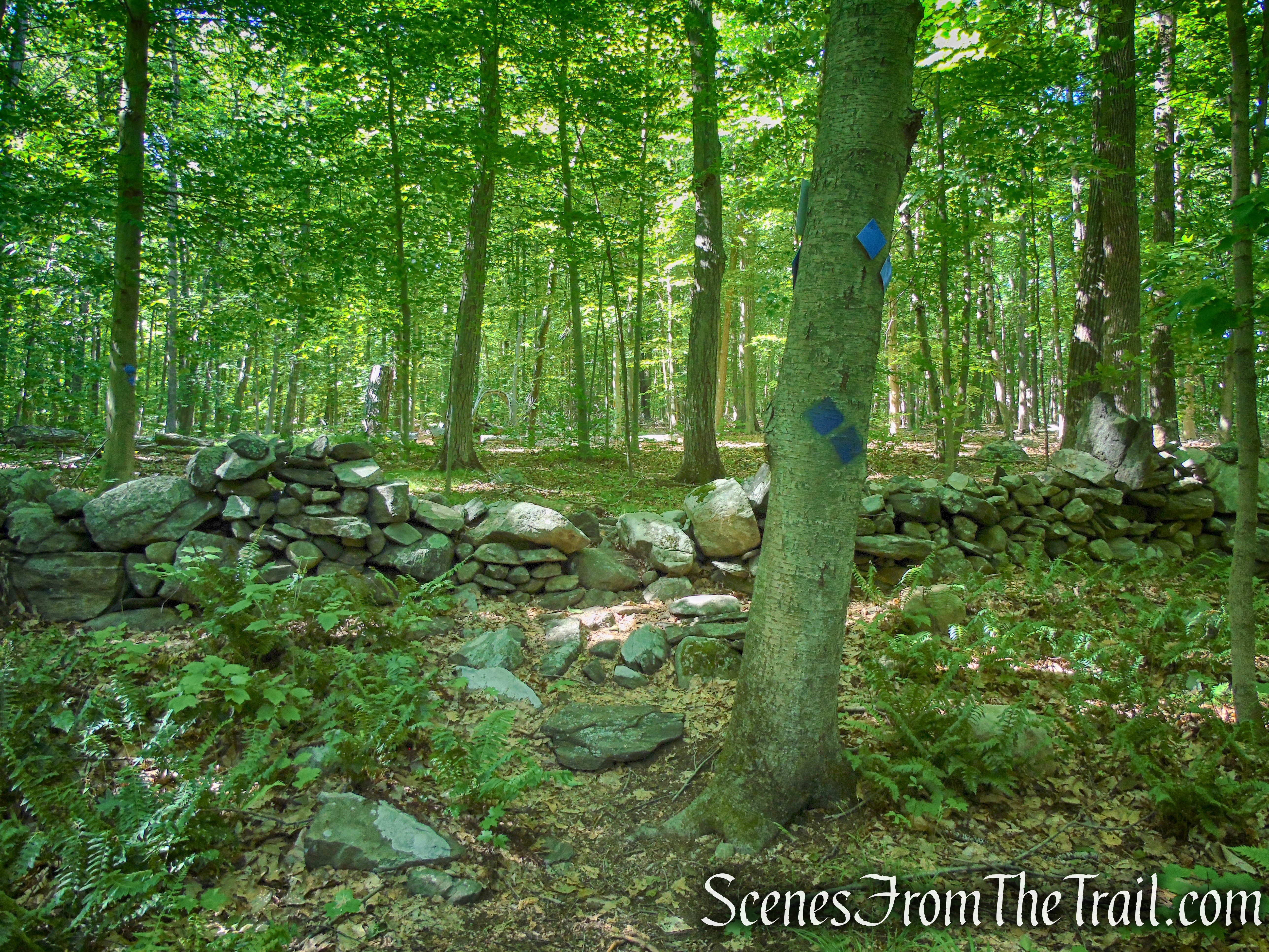 Upper Loop - St. Matthew's Church Woodlands