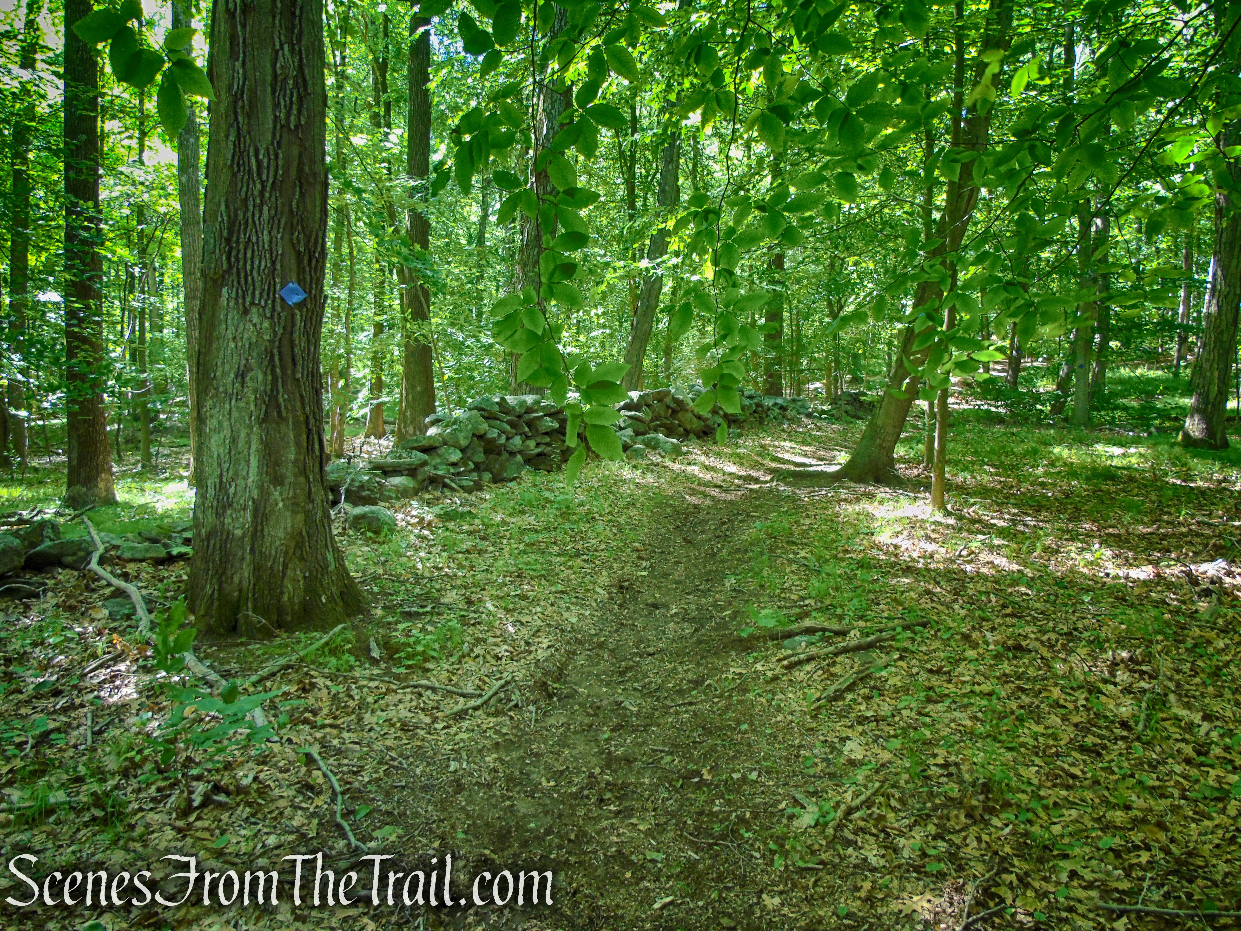 Upper Loop - St. Matthew's Church Woodlands