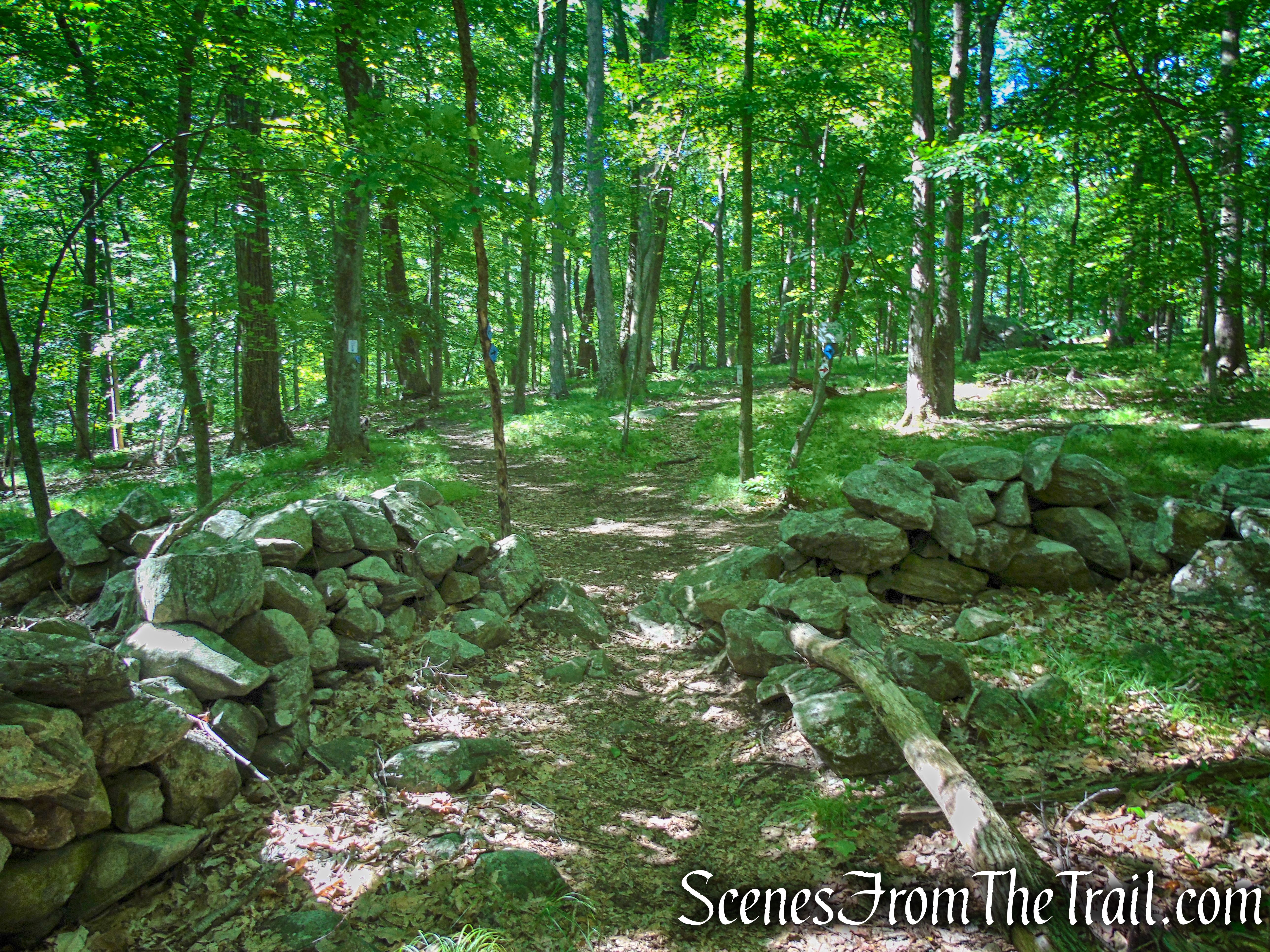 Upper Loop - St. Matthew's Church Woodlands