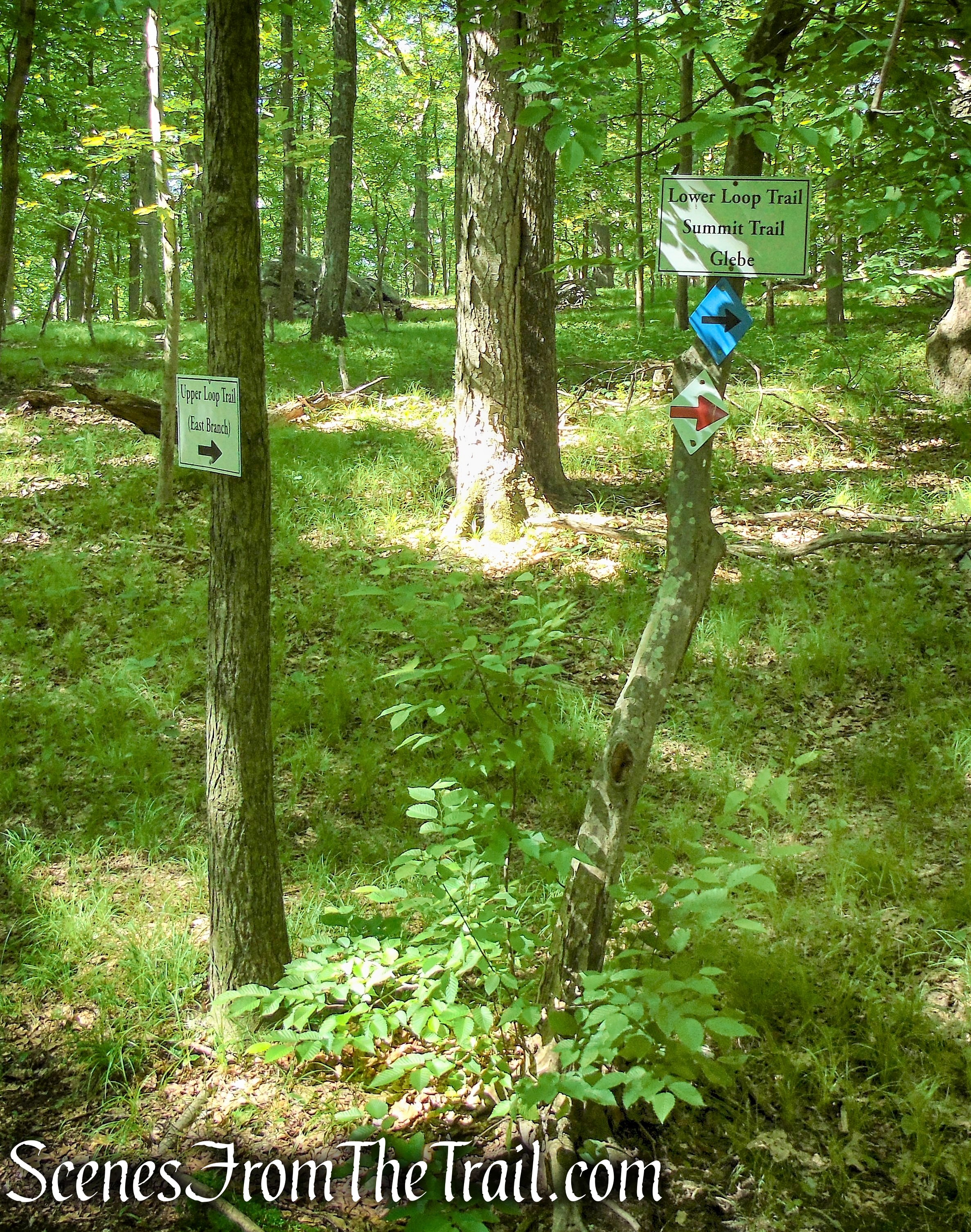 Glebe and Ketchum Sanctuary Trails