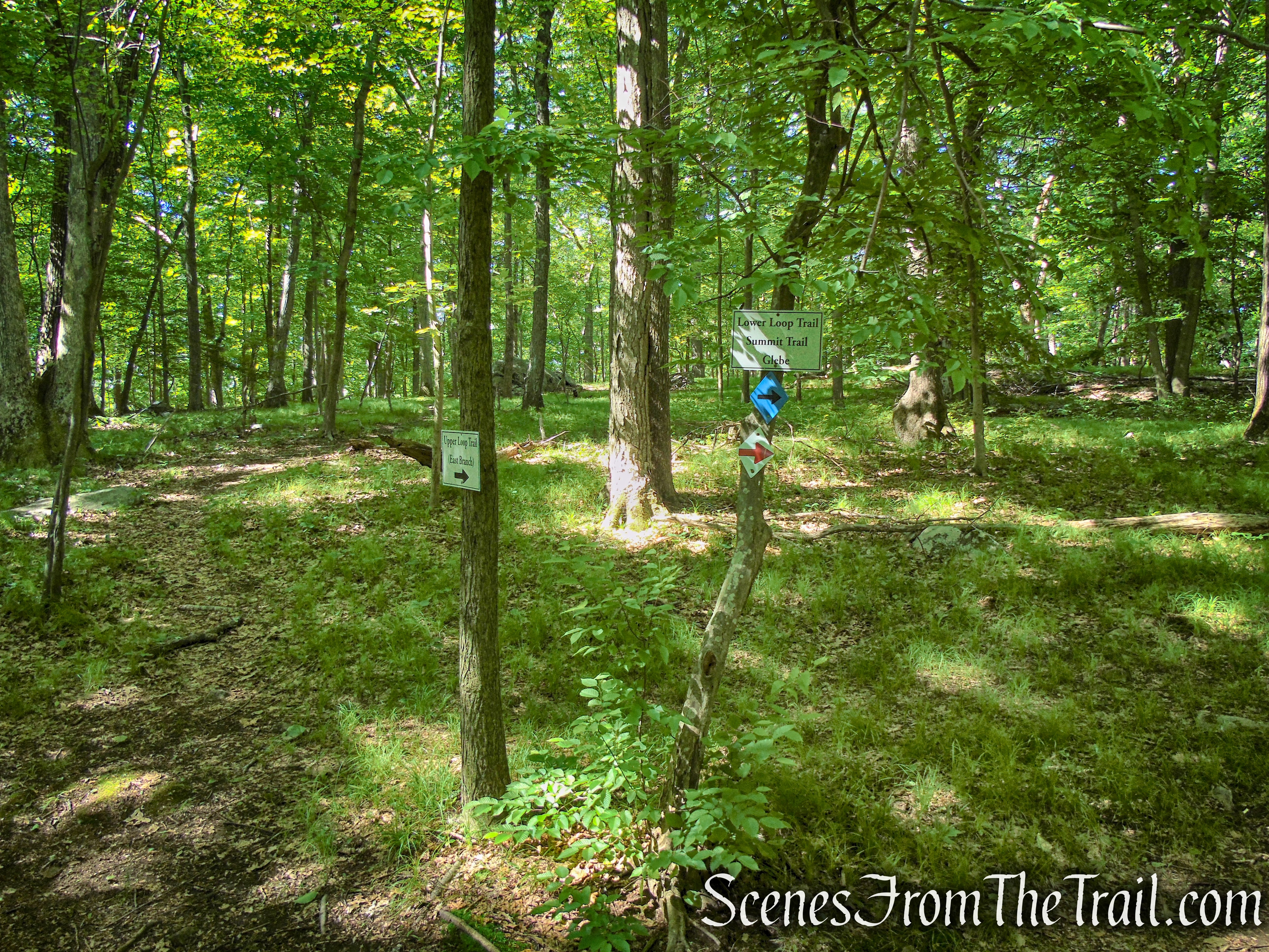 Lower Loop/Upper Loop/Summit Trail junction - St. Matthew's Church Woodlands