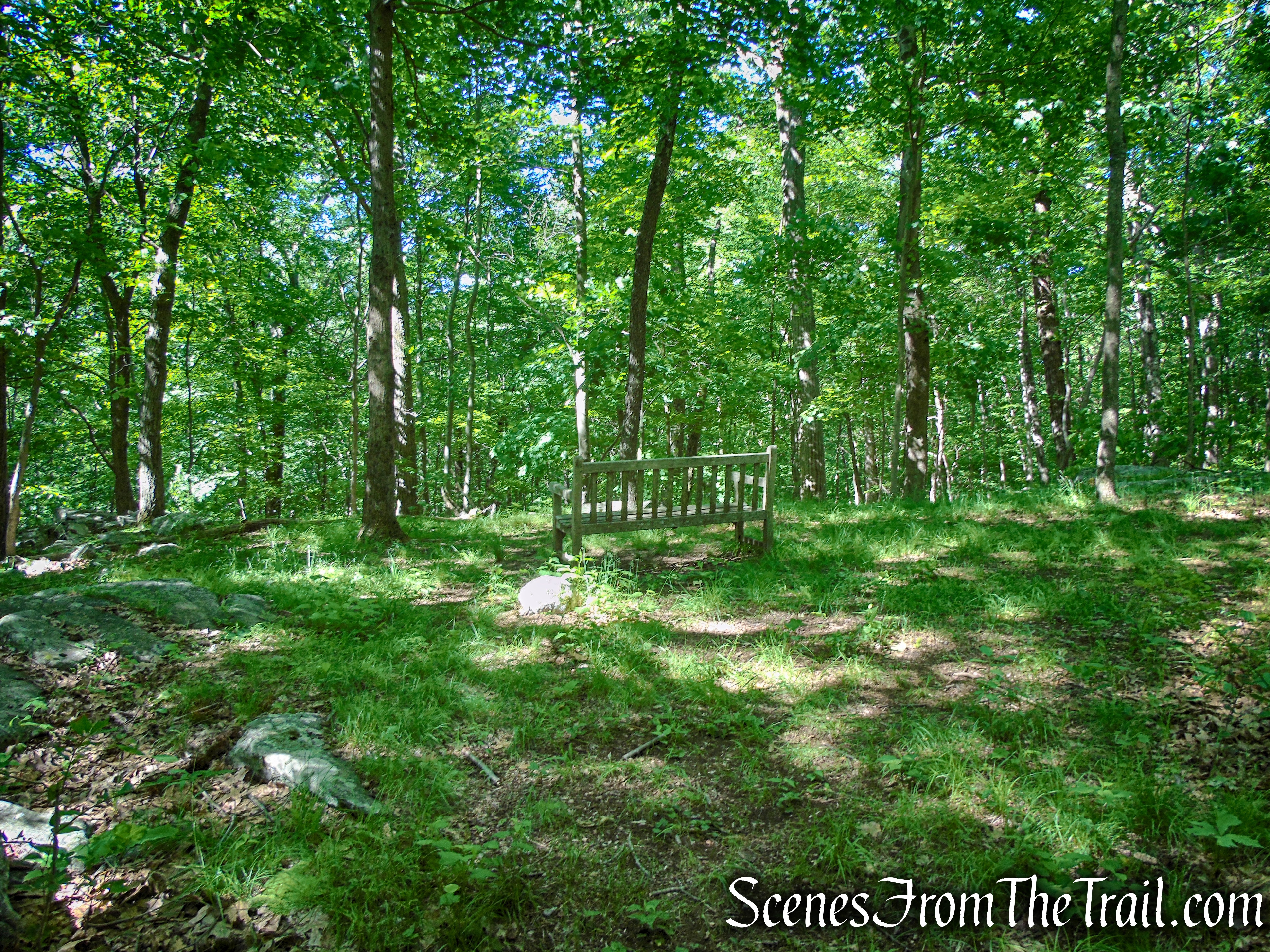 summit - St. Matthew's Church Woodlands 