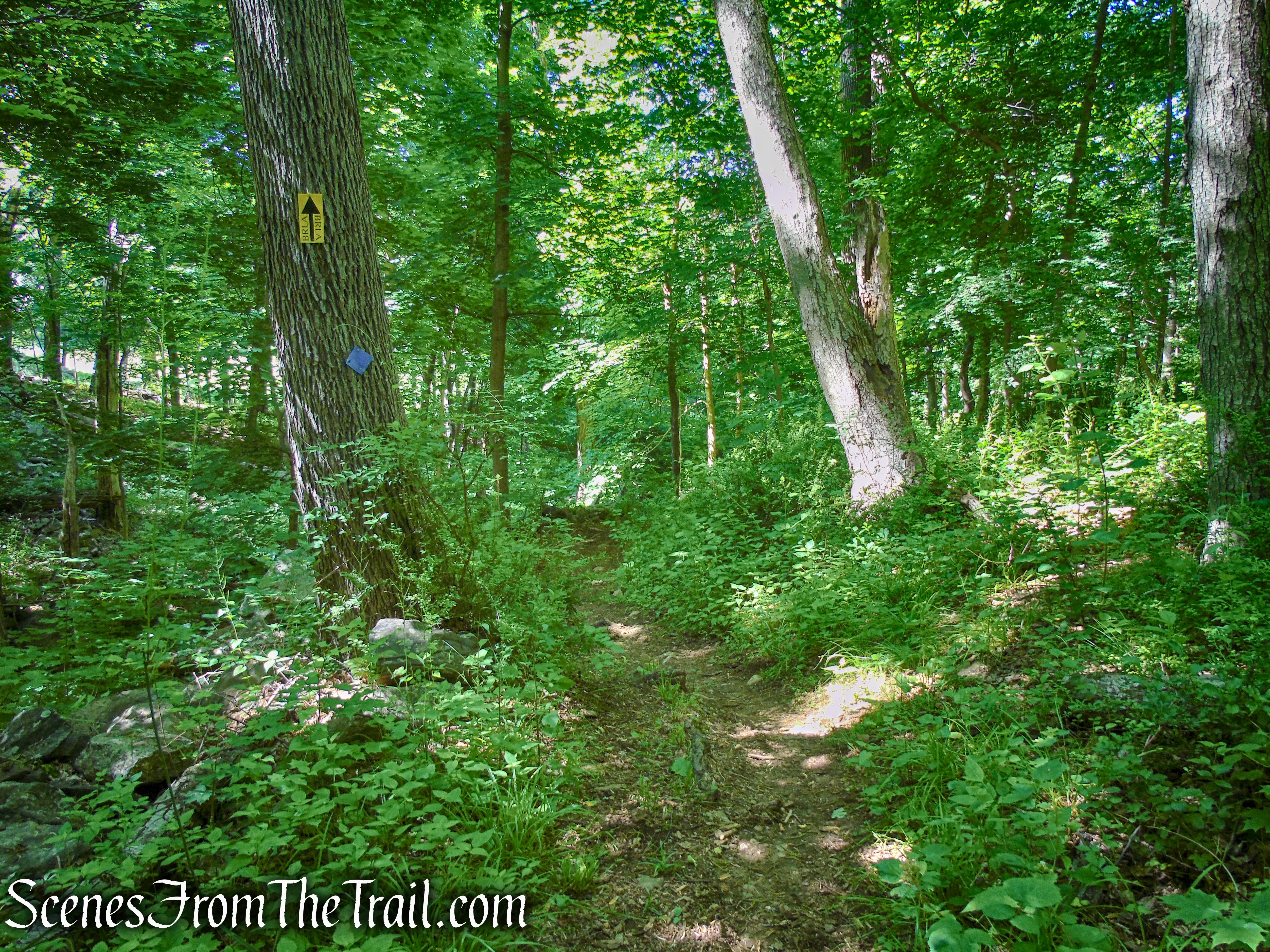 Lower Loop - St. Matthew's Church Woodlands