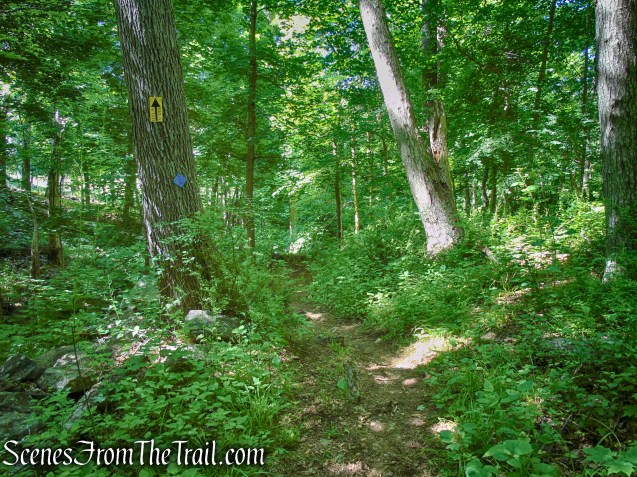 Lower Loop - St. Matthew's Church Woodlands