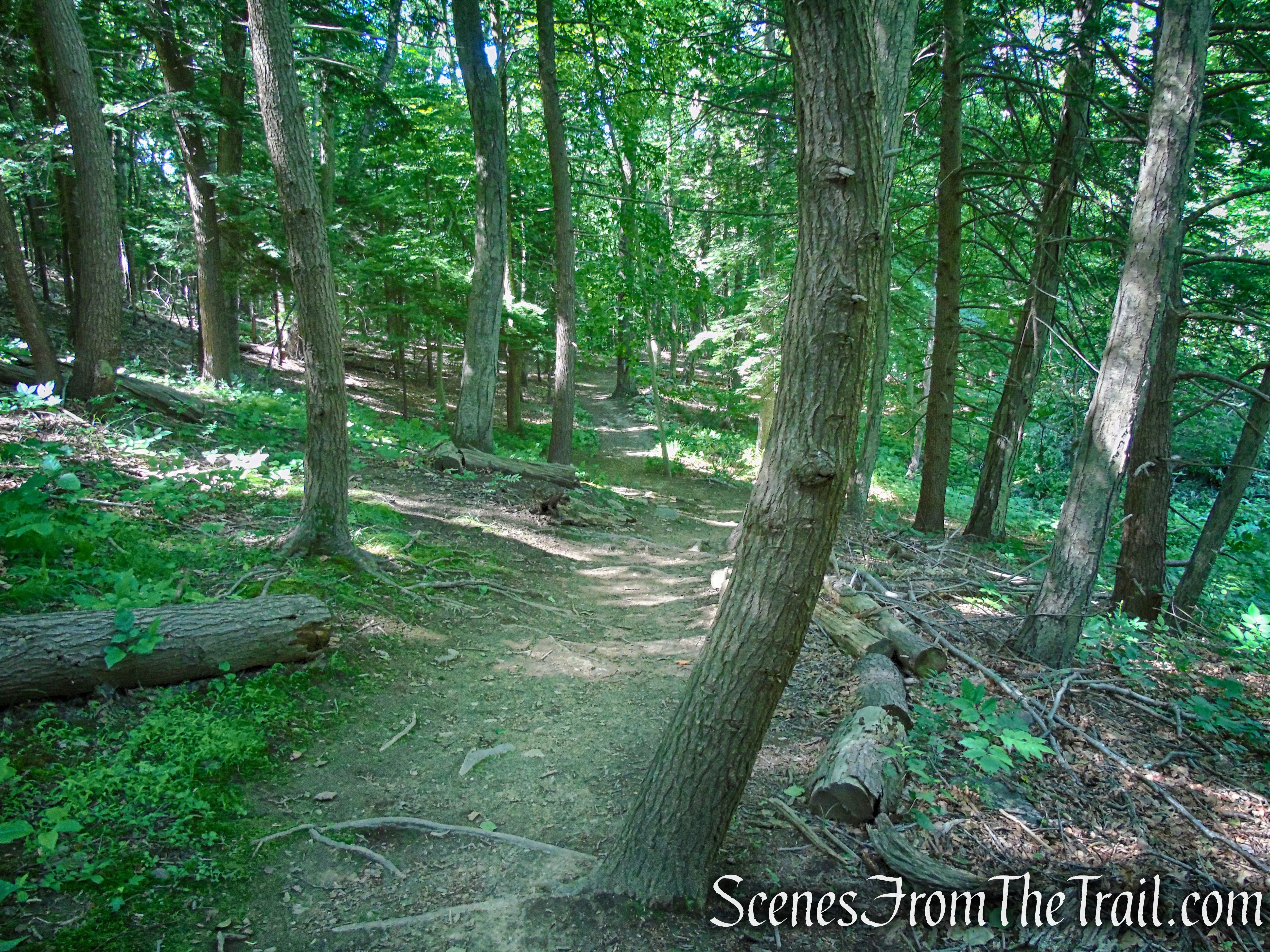 Glebe - Ketchum Connector