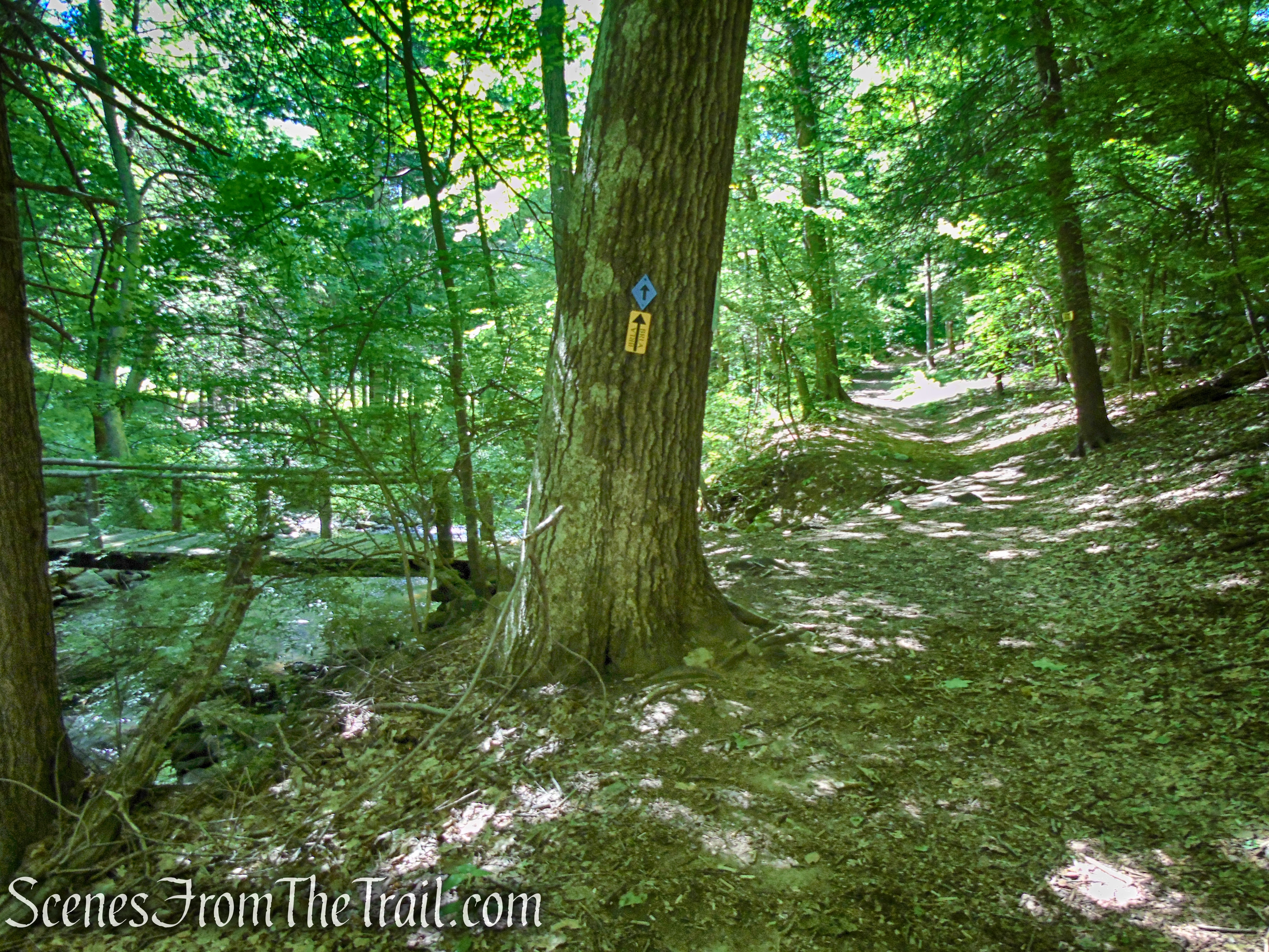 Lower Loop - St. Matthew's Church Woodlands