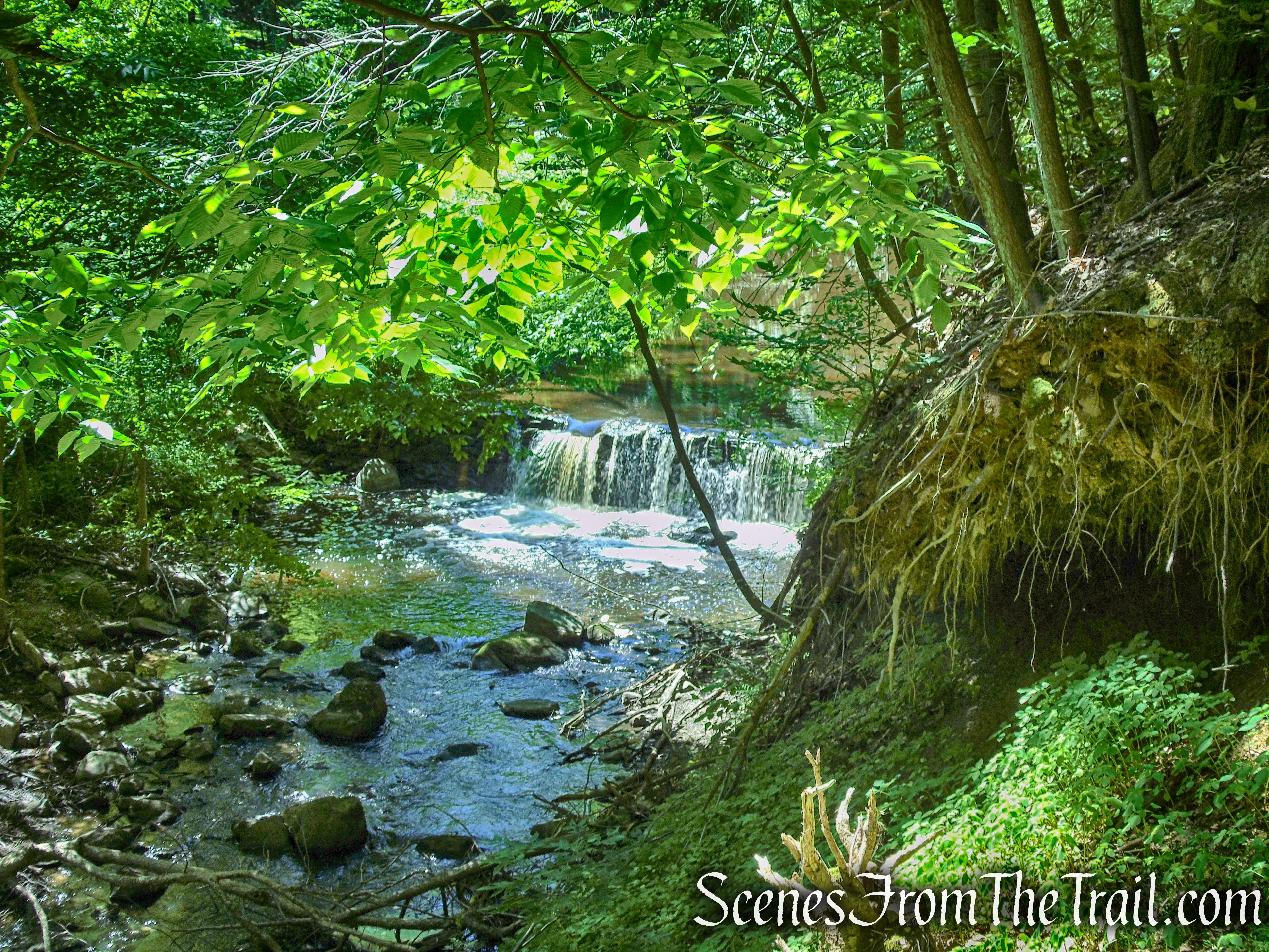 Lower Loop - St. Matthew's Church Woodlands