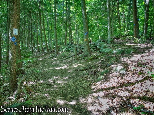 Lower Loop - St. Matthew's Church Woodlands