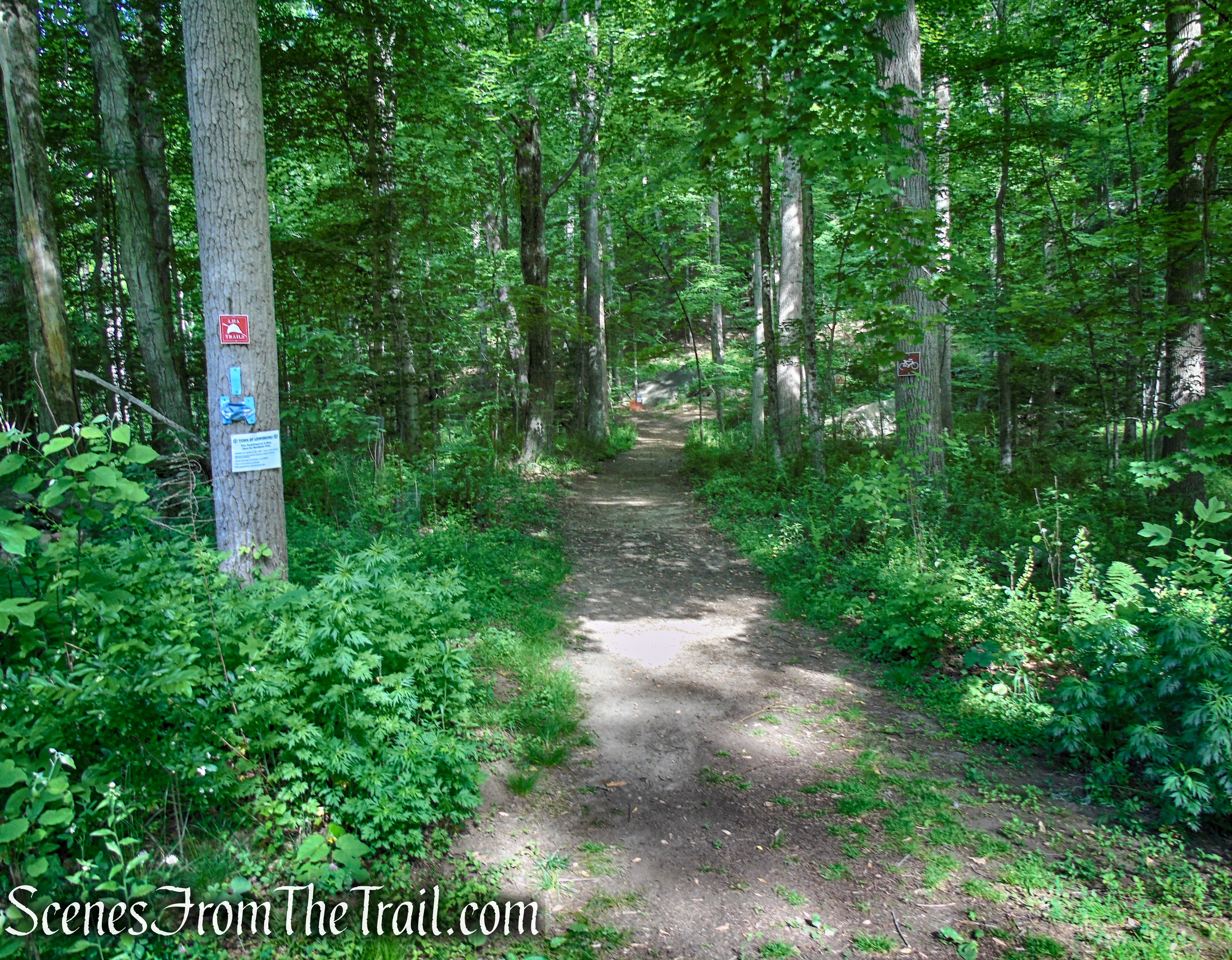 start of Blue Trail - Trailhead - Leon Levy Preserve 