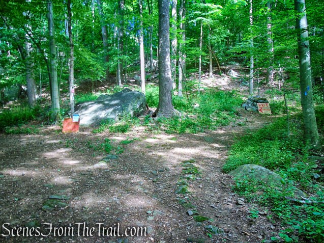 Junction 1 - Leon Levy Preserve