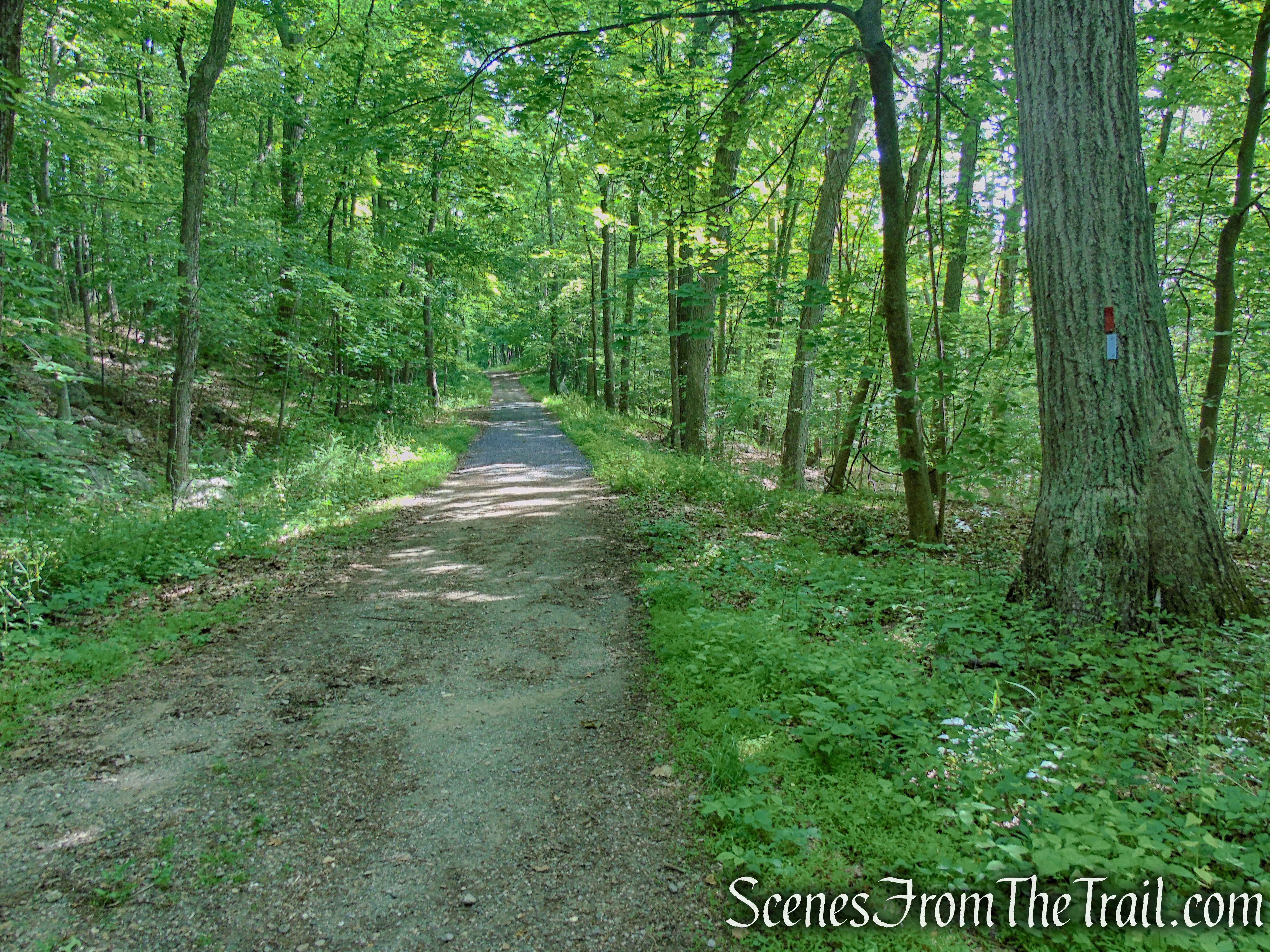 Blue Trail - Leon Levy Preserve 