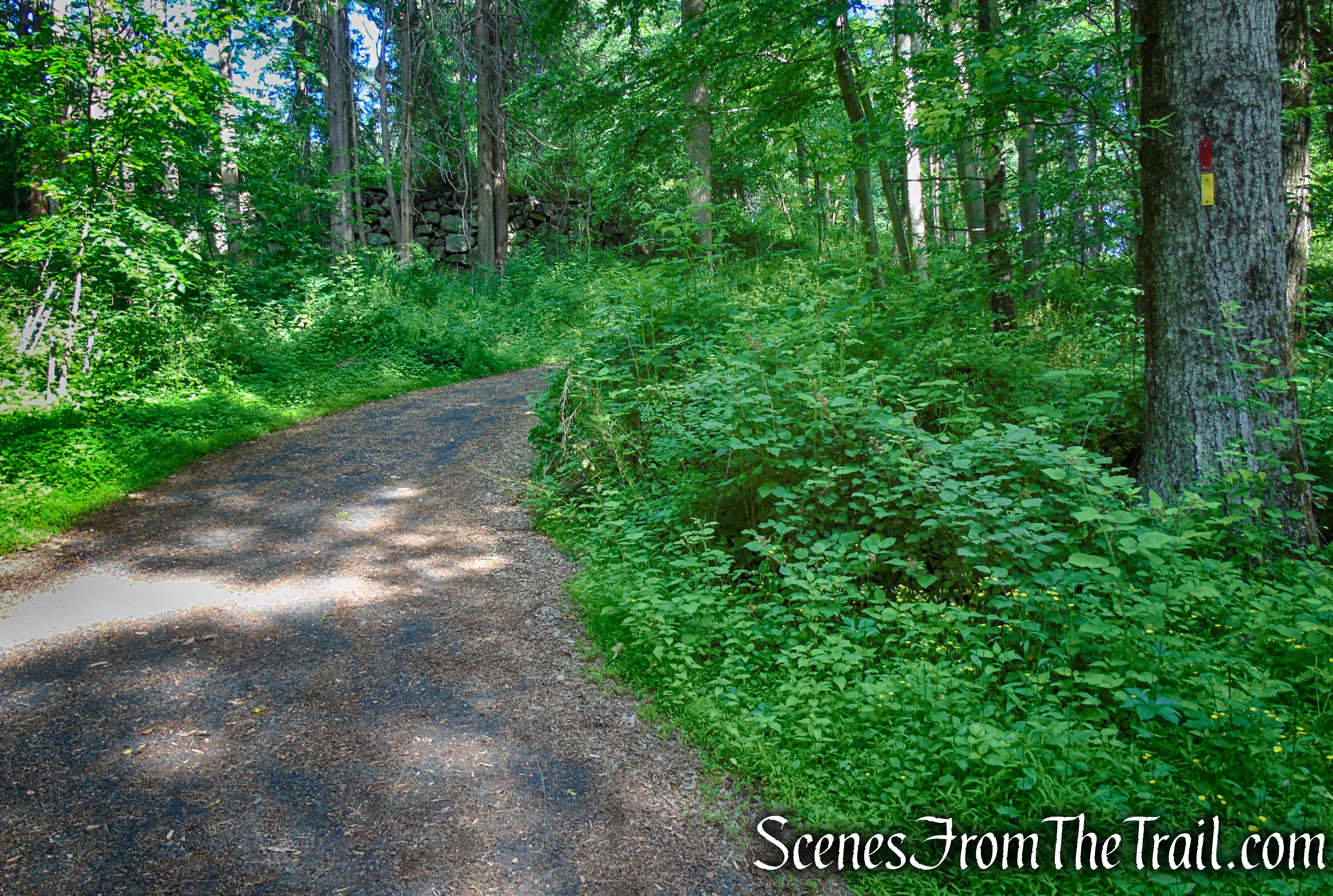 Yellow Trail - Leon Levy Preserve