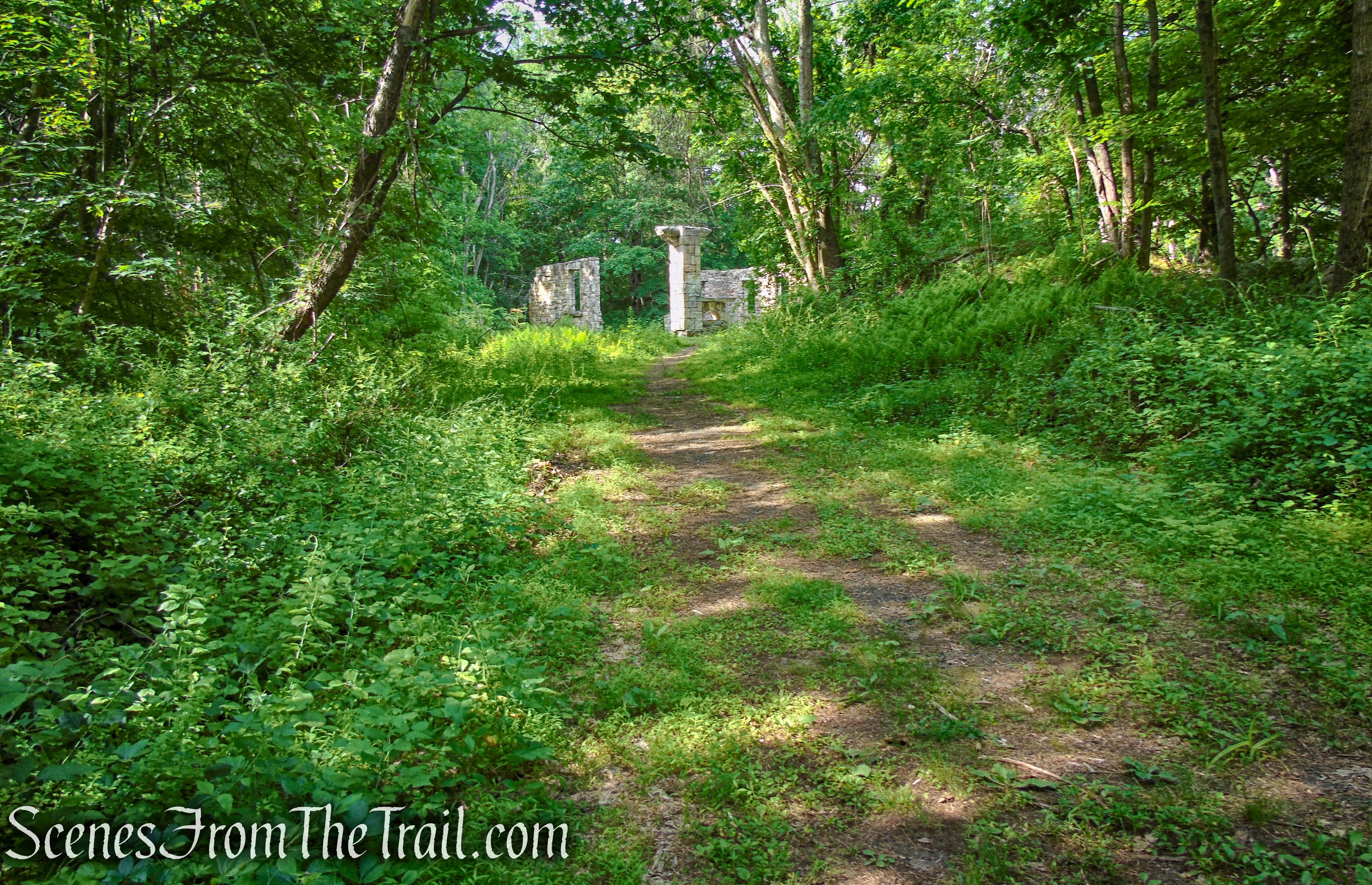 Black Mansion ruins - Leon Levy Preserve