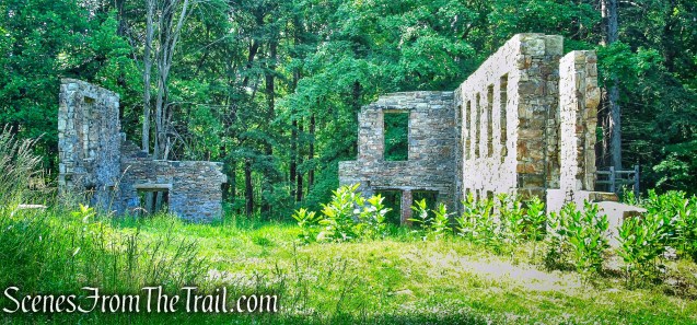 Black Mansion ruins - Leon Levy Preserve