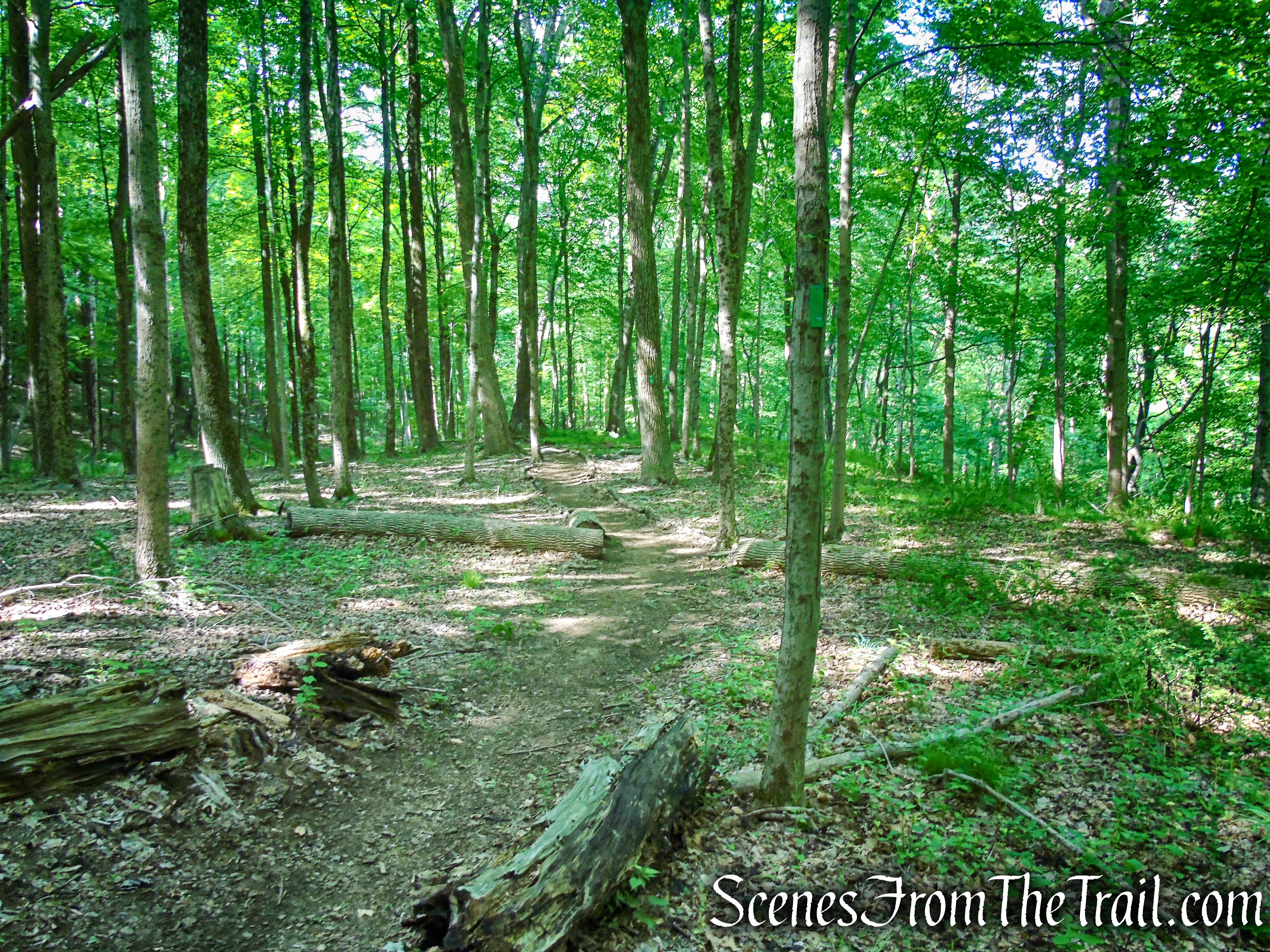 Green Trail - Leon Levy Preserve