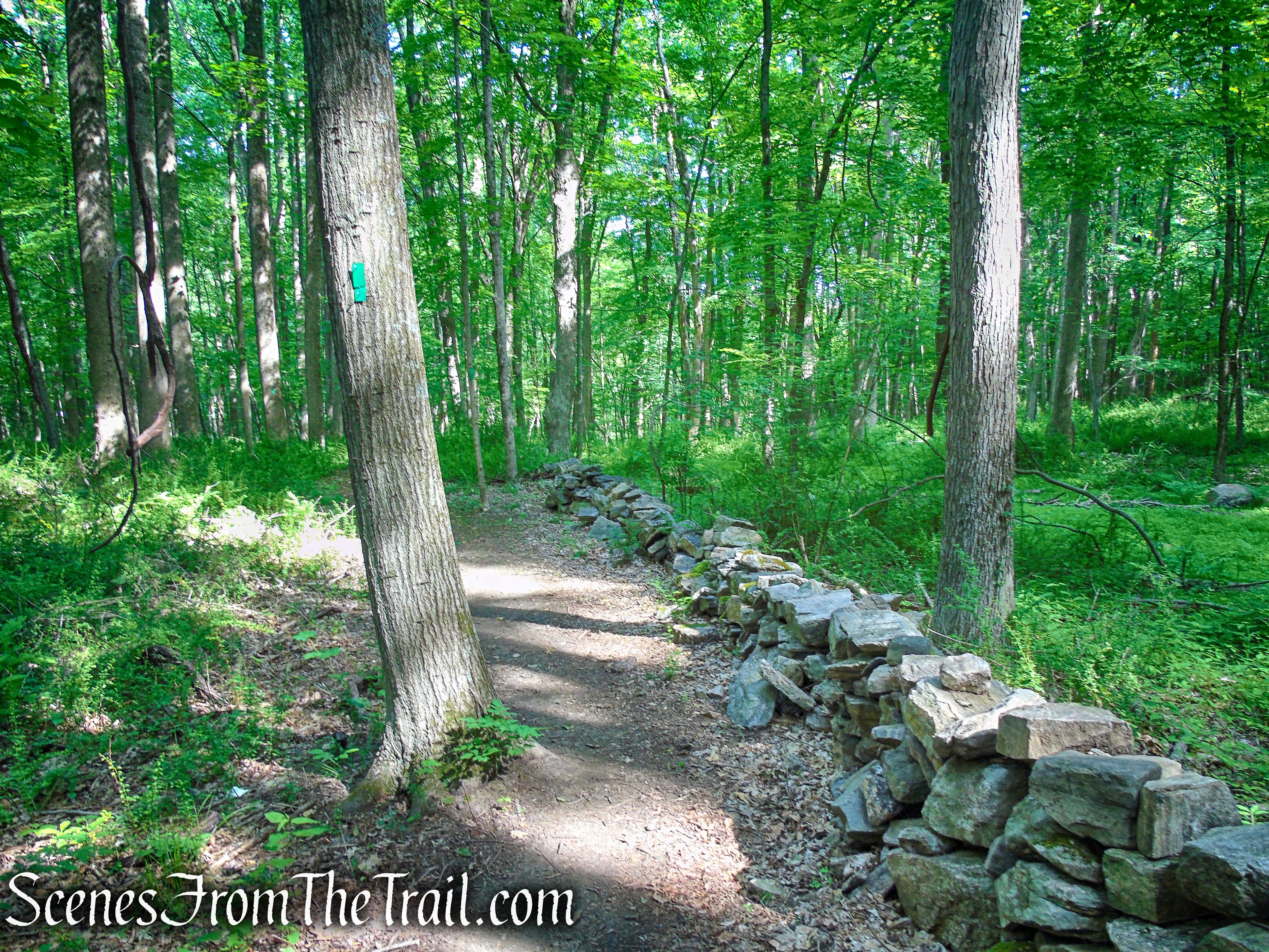 Green Trail - Leon Levy Preserve