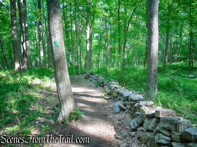 Green Trail - Leon Levy Preserve