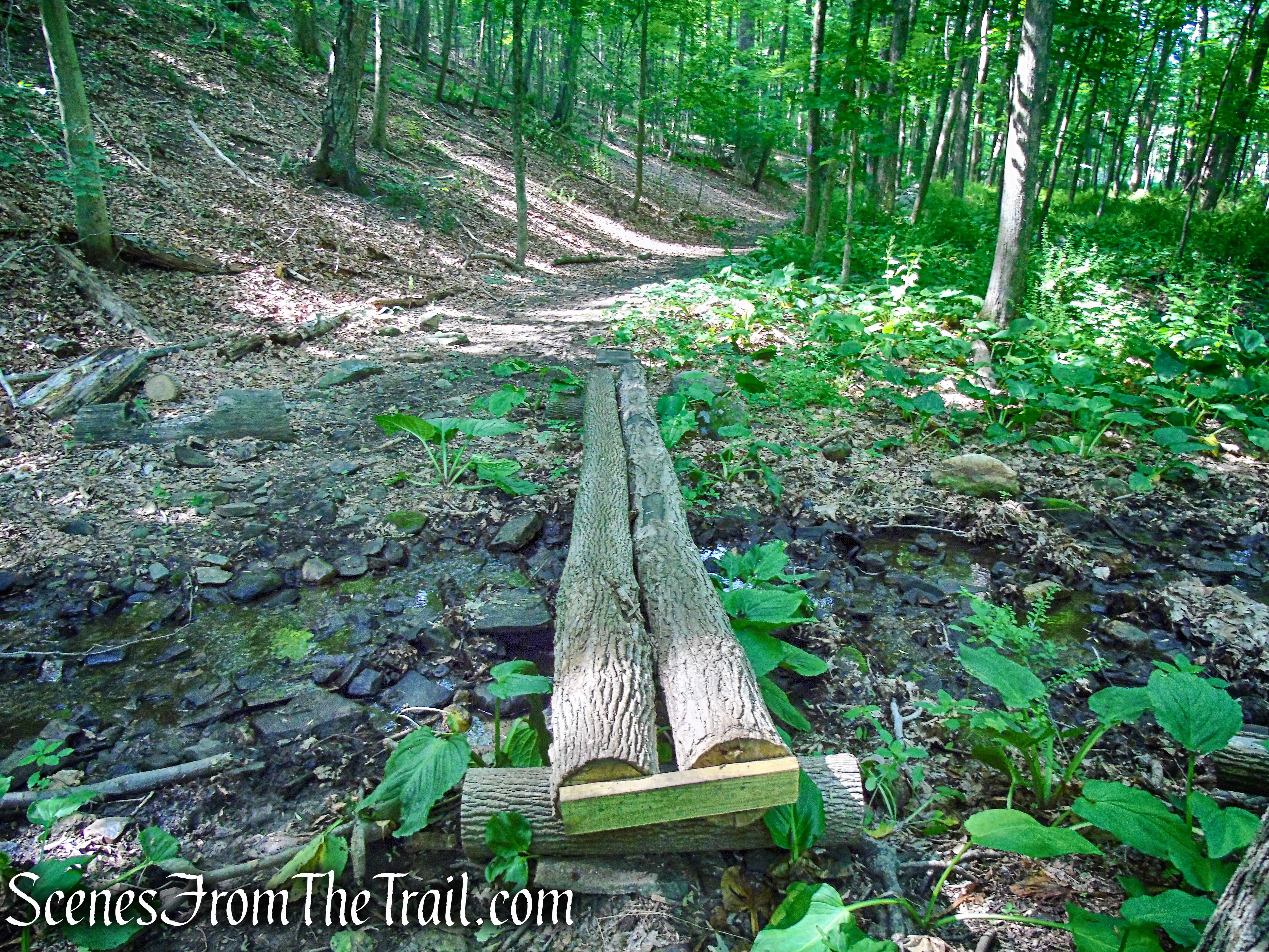 Purple Trail - Leon Levy Preserve