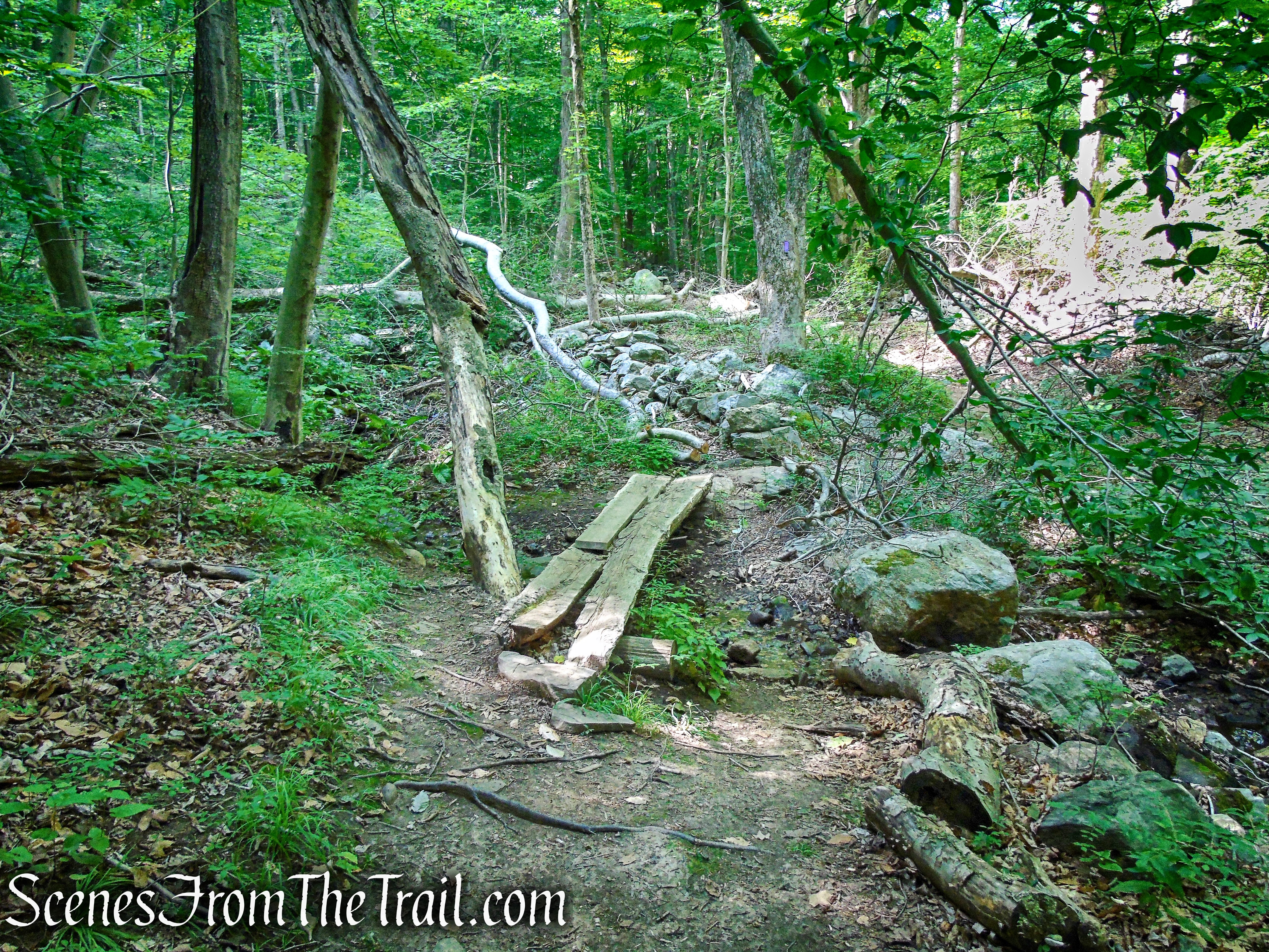 Purple Trail - Leon Levy Preserve