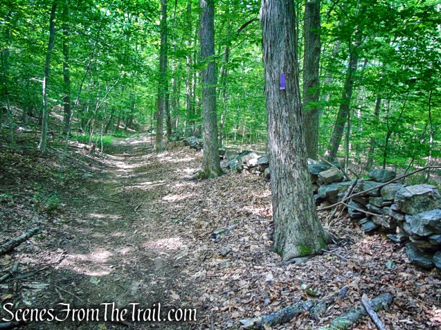 Purple Trail - Leon Levy Preserve