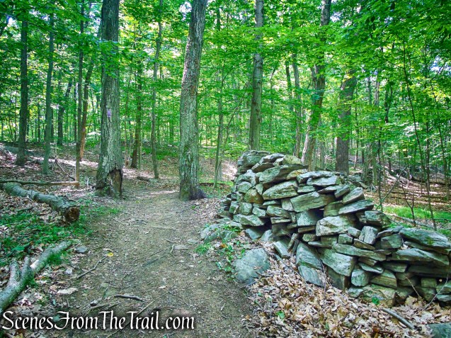 Purple Trail - Leon Levy Preserve