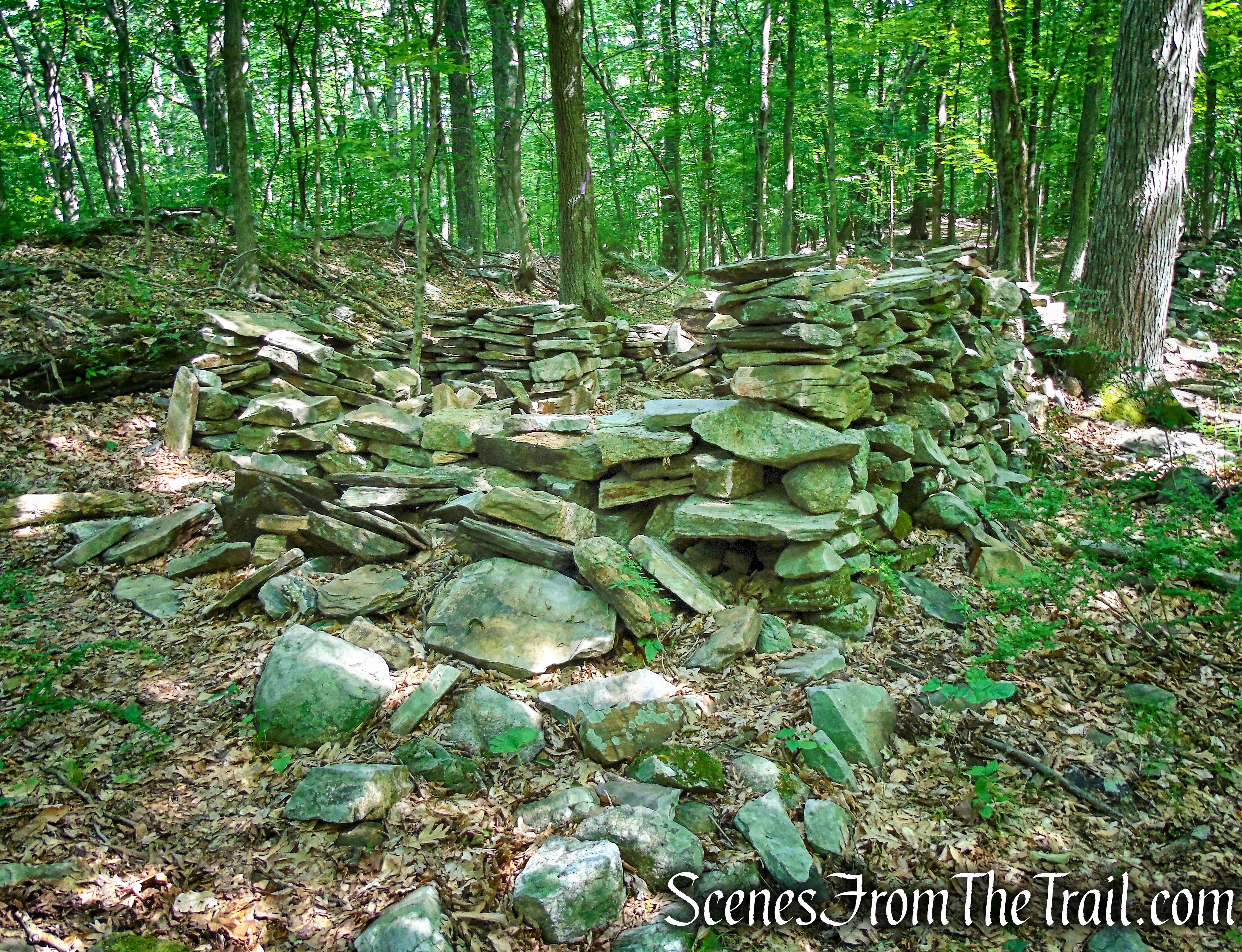 Shepherd's Hut ruins - Leon Levy Preserve