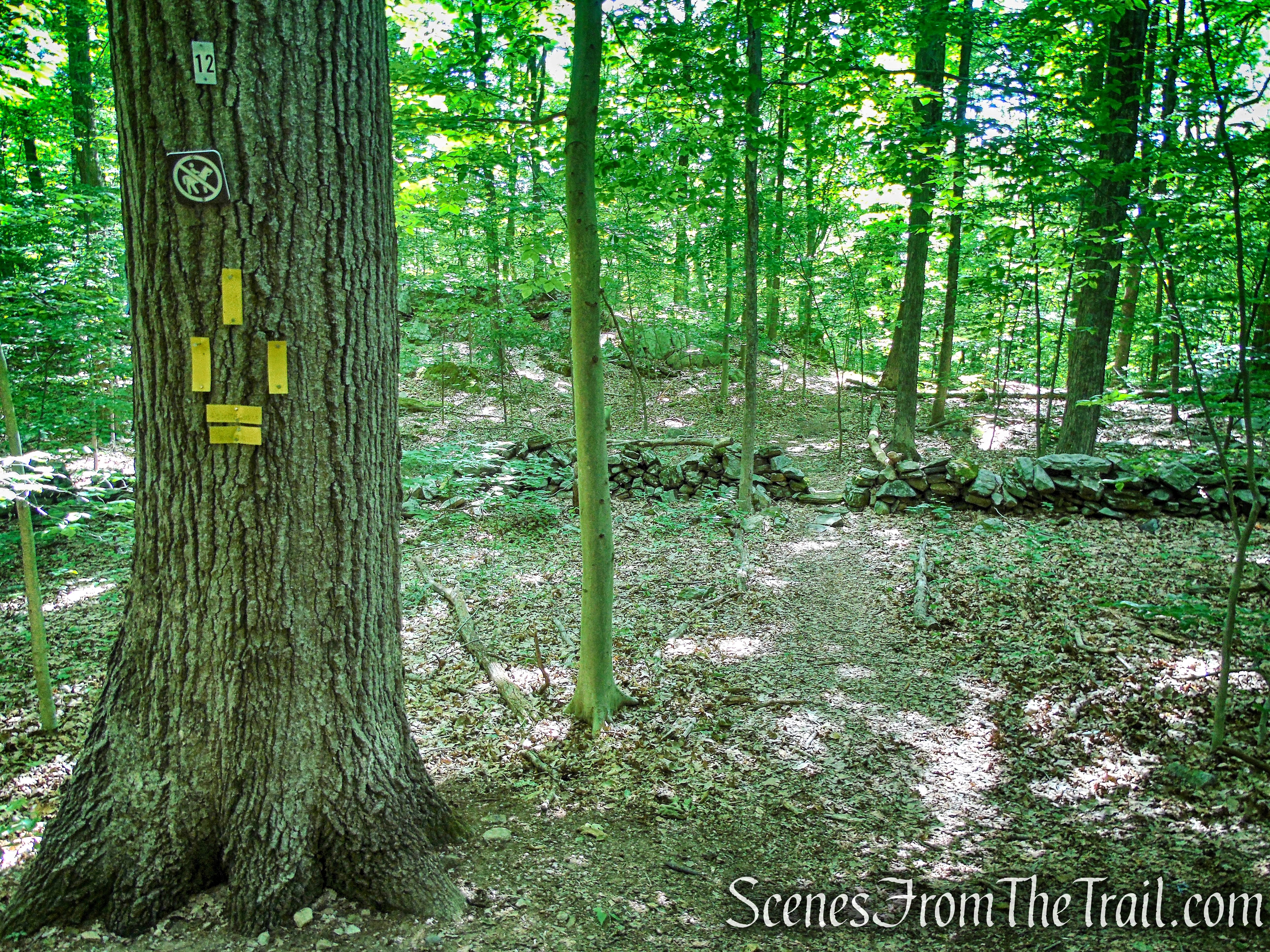 Junction 12 - South Gorge Rim Trail 