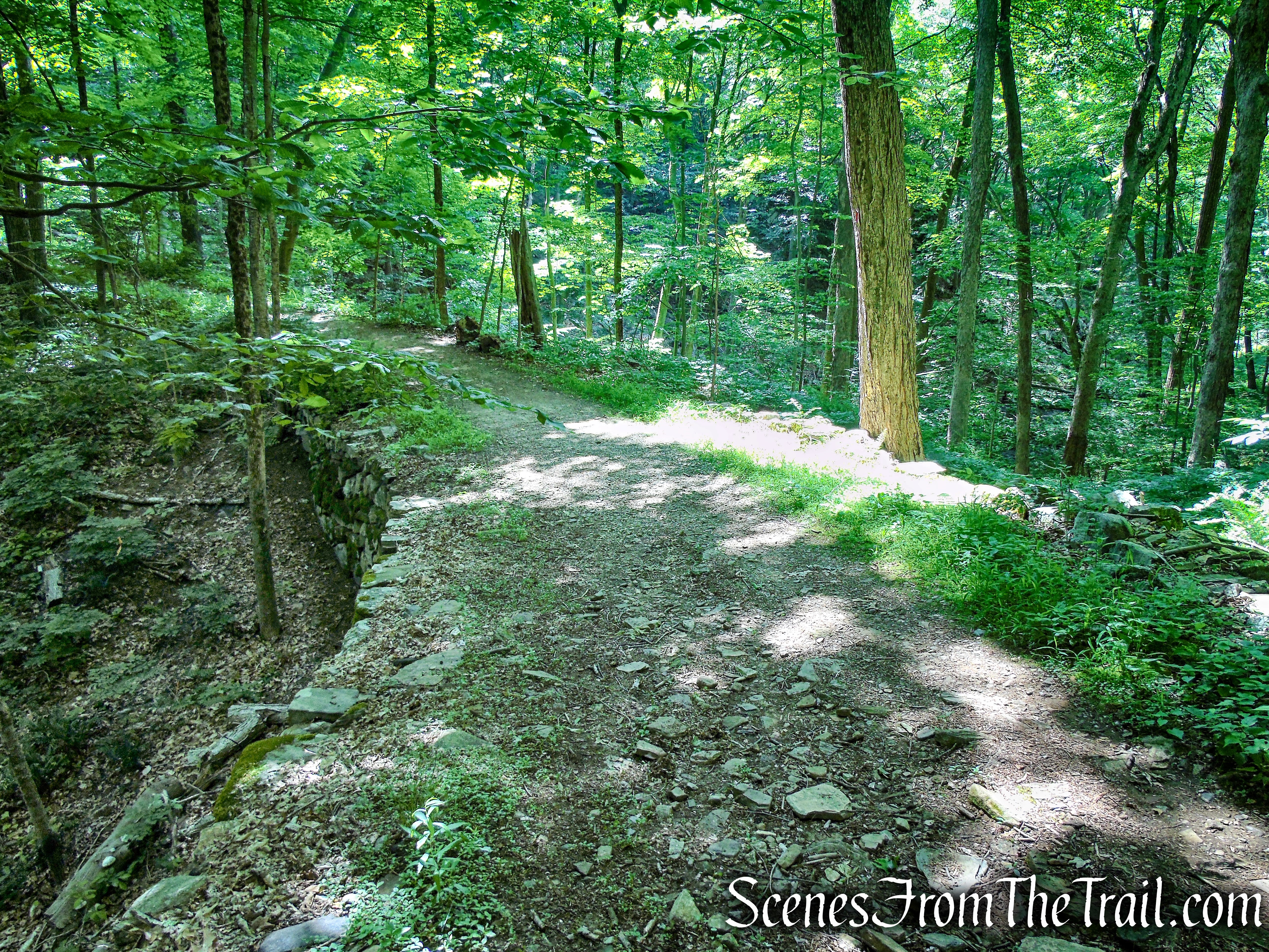 Blue Trail - Leon Levy Preserve