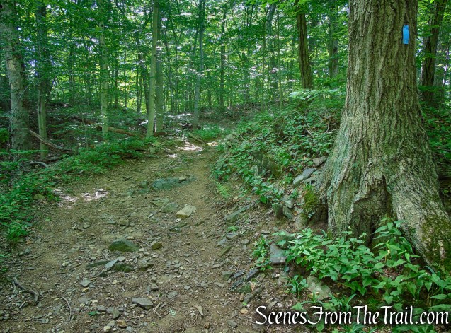 Blue Trail - Leon Levy Preserve