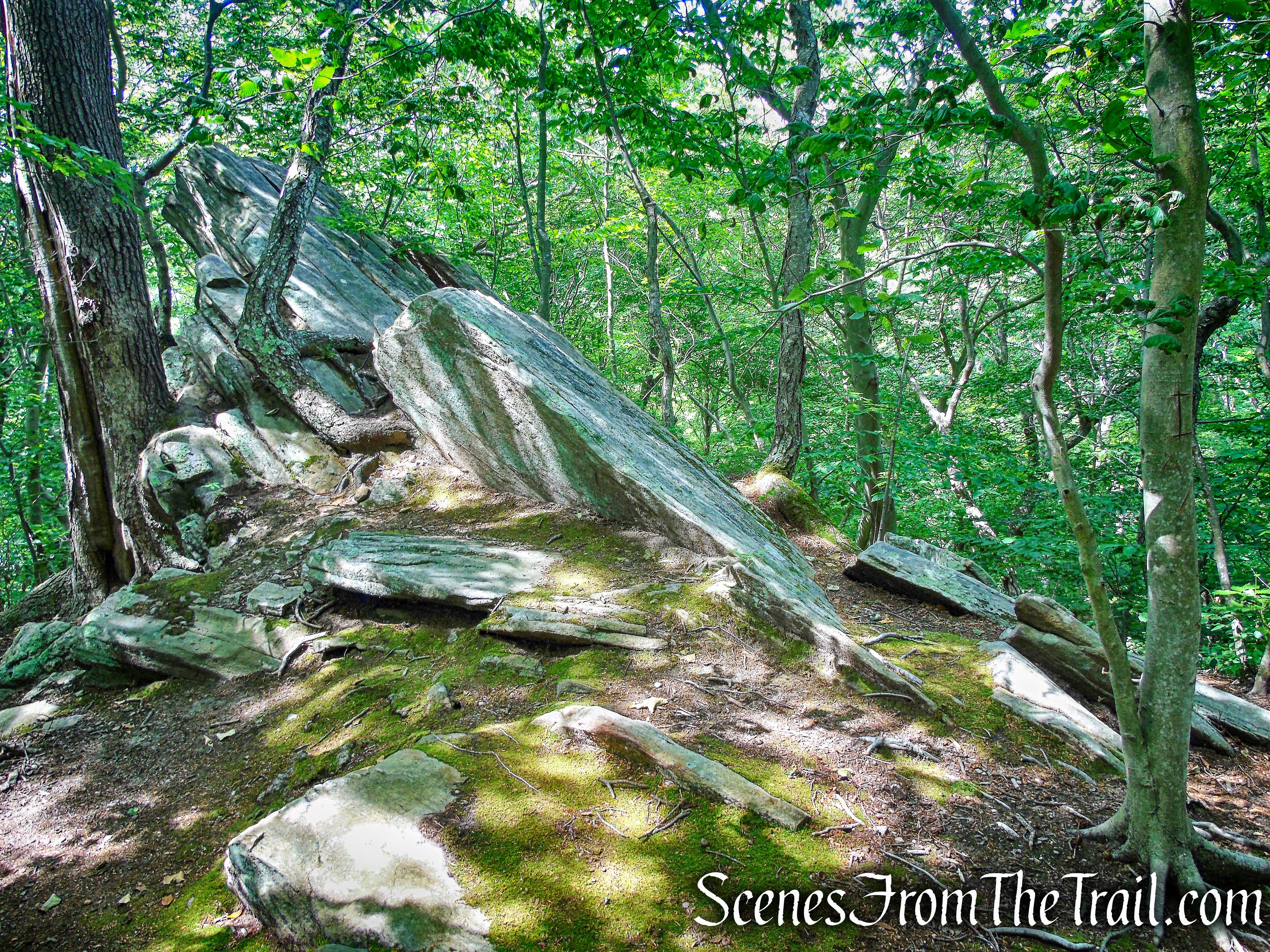 Gorge Overlook Trail Loop - Leon Levy Preserve