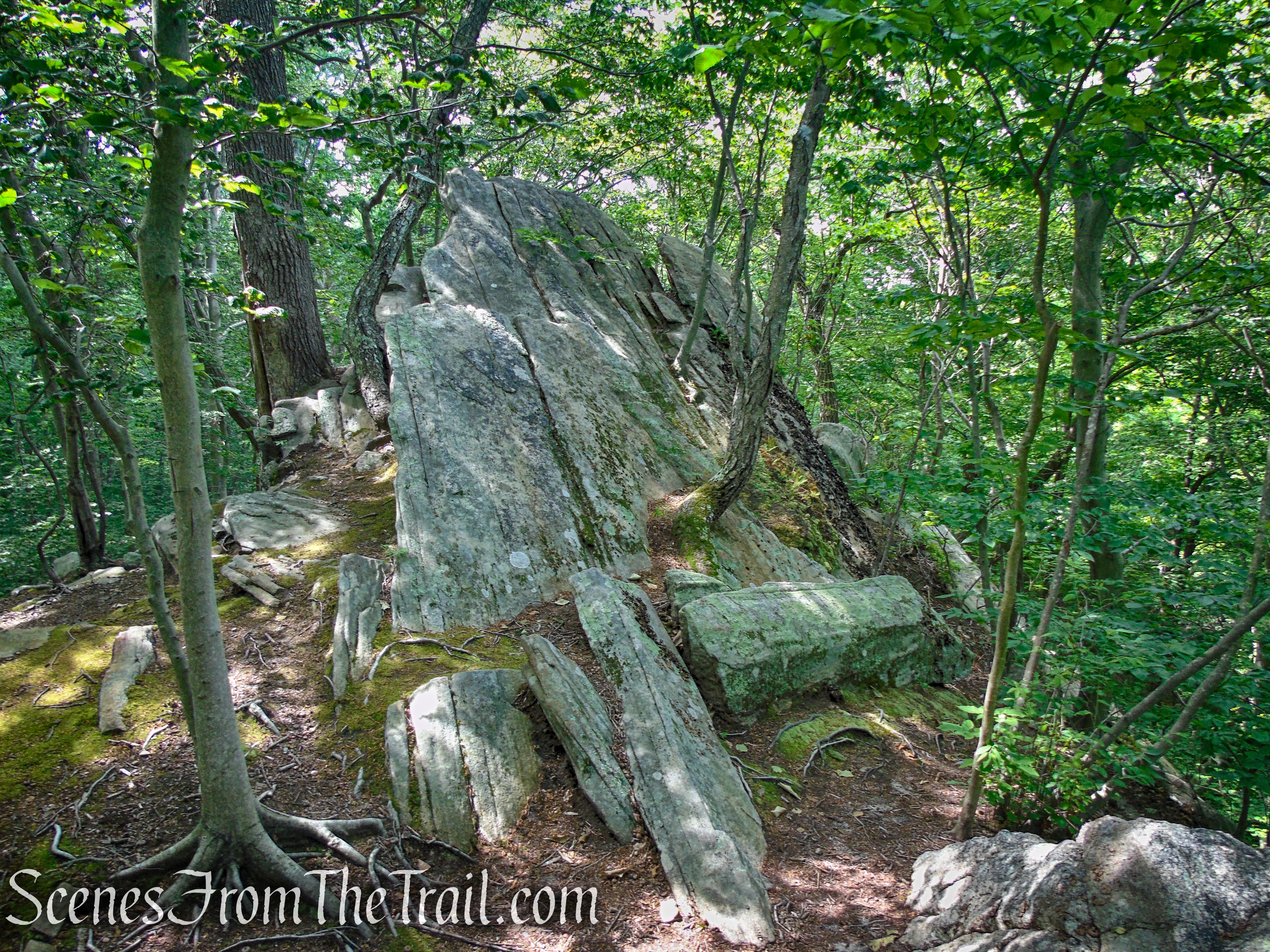 Gorge Overlook Trail Loop - Leon Levy Preserve