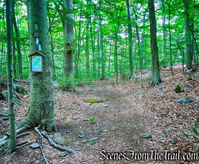 Gorge Overlook Trail Loop - Leon Levy Preserve