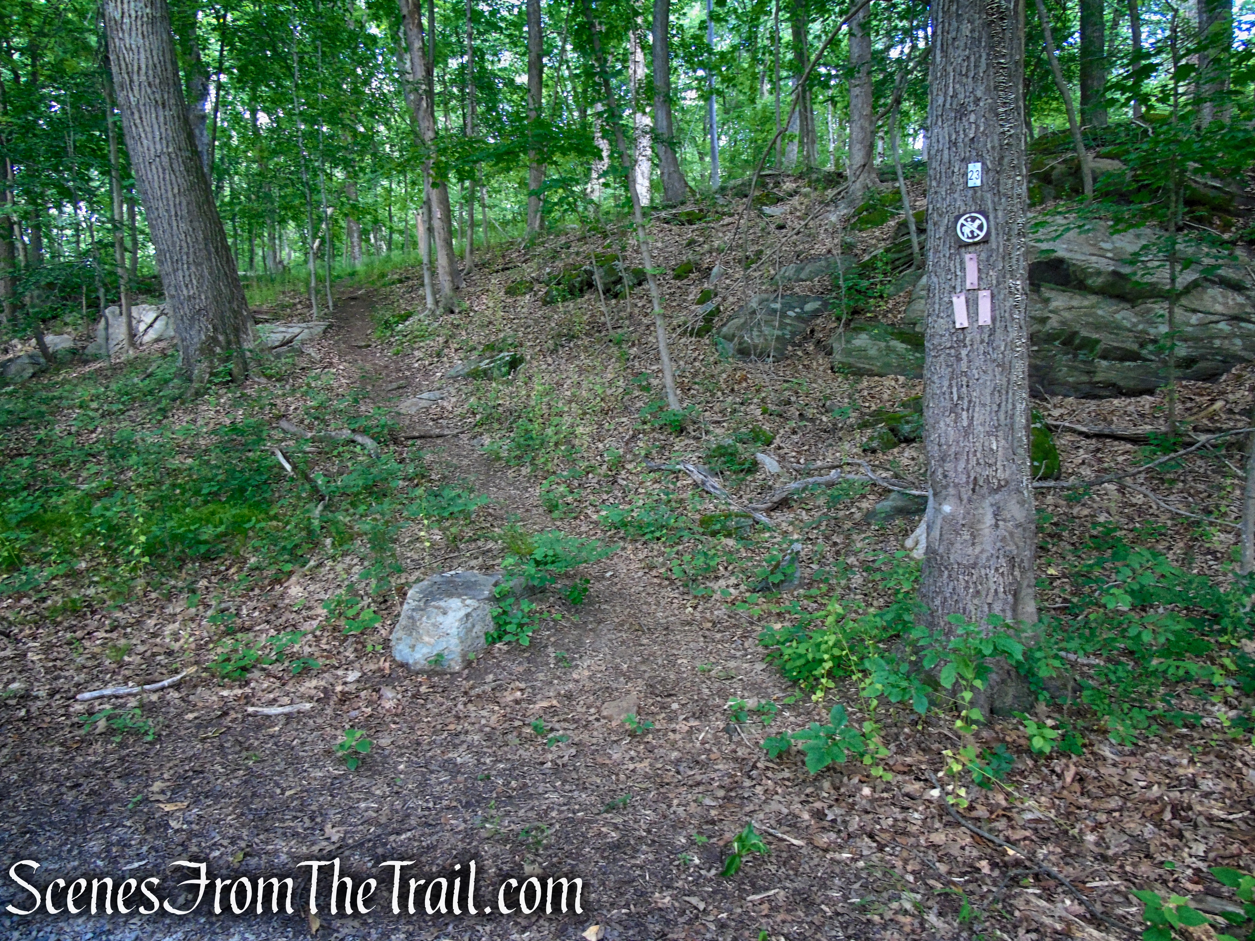 Junction 23 - Cottage Trail 