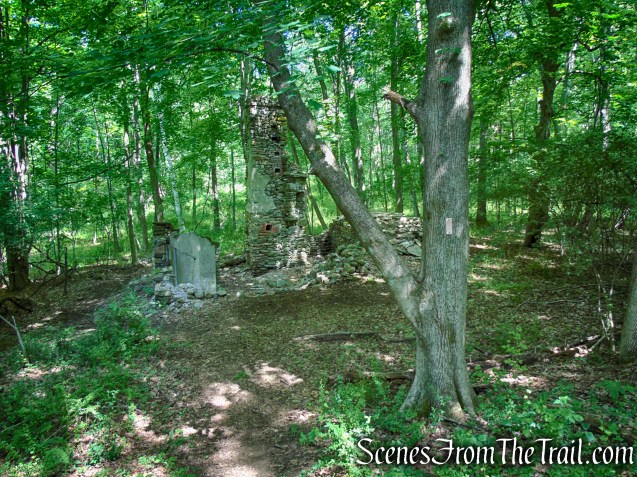 Cottage Trail - Leon Levy Preserve