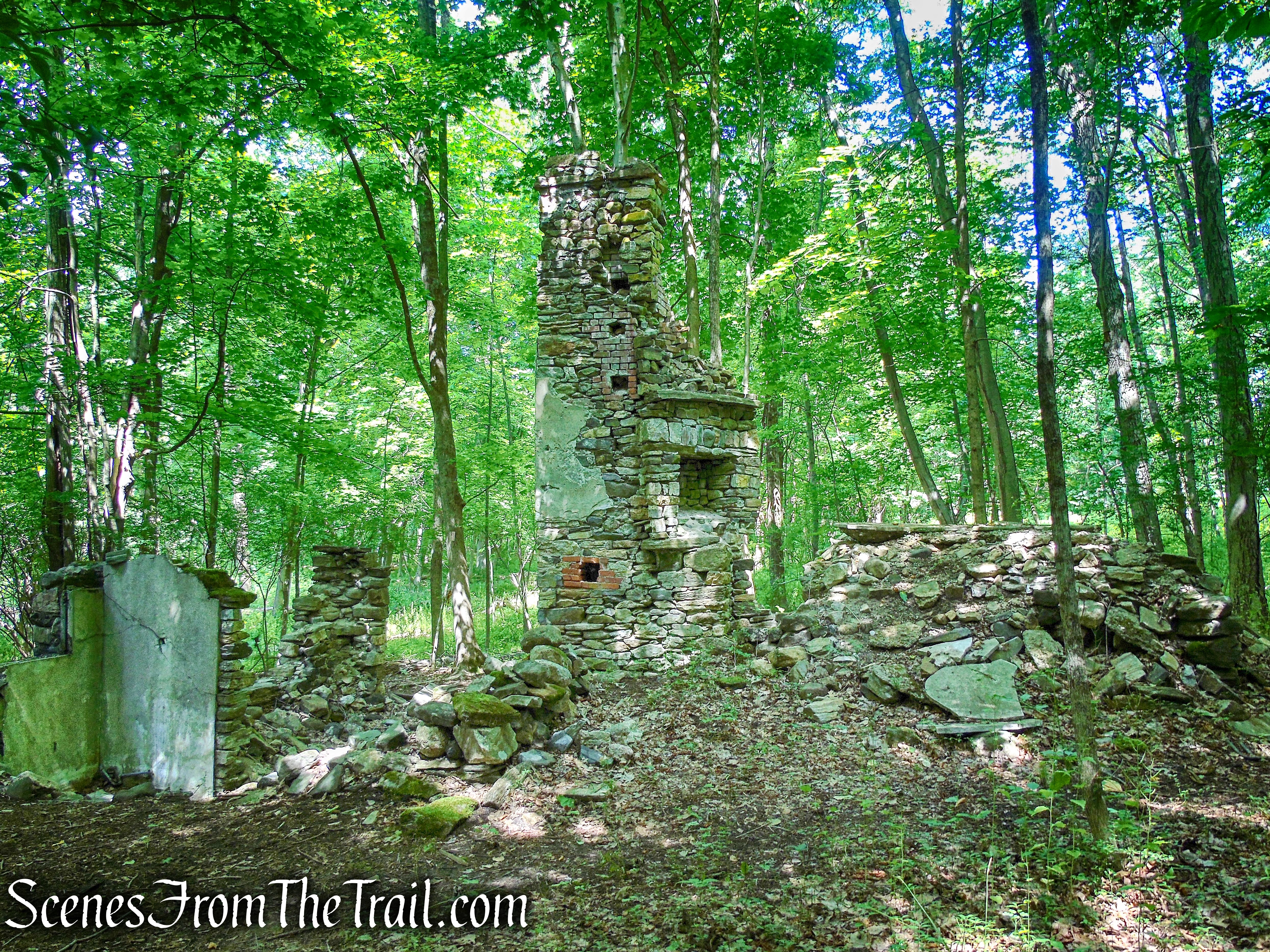 Cottage ruins - Leon Levy Preserve