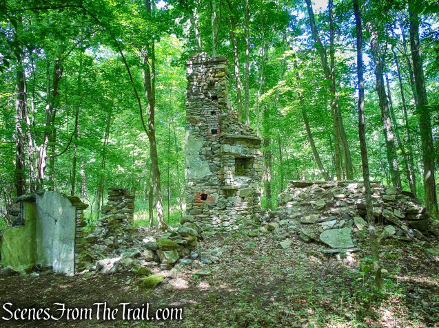 Cottage ruins - Leon Levy Preserve