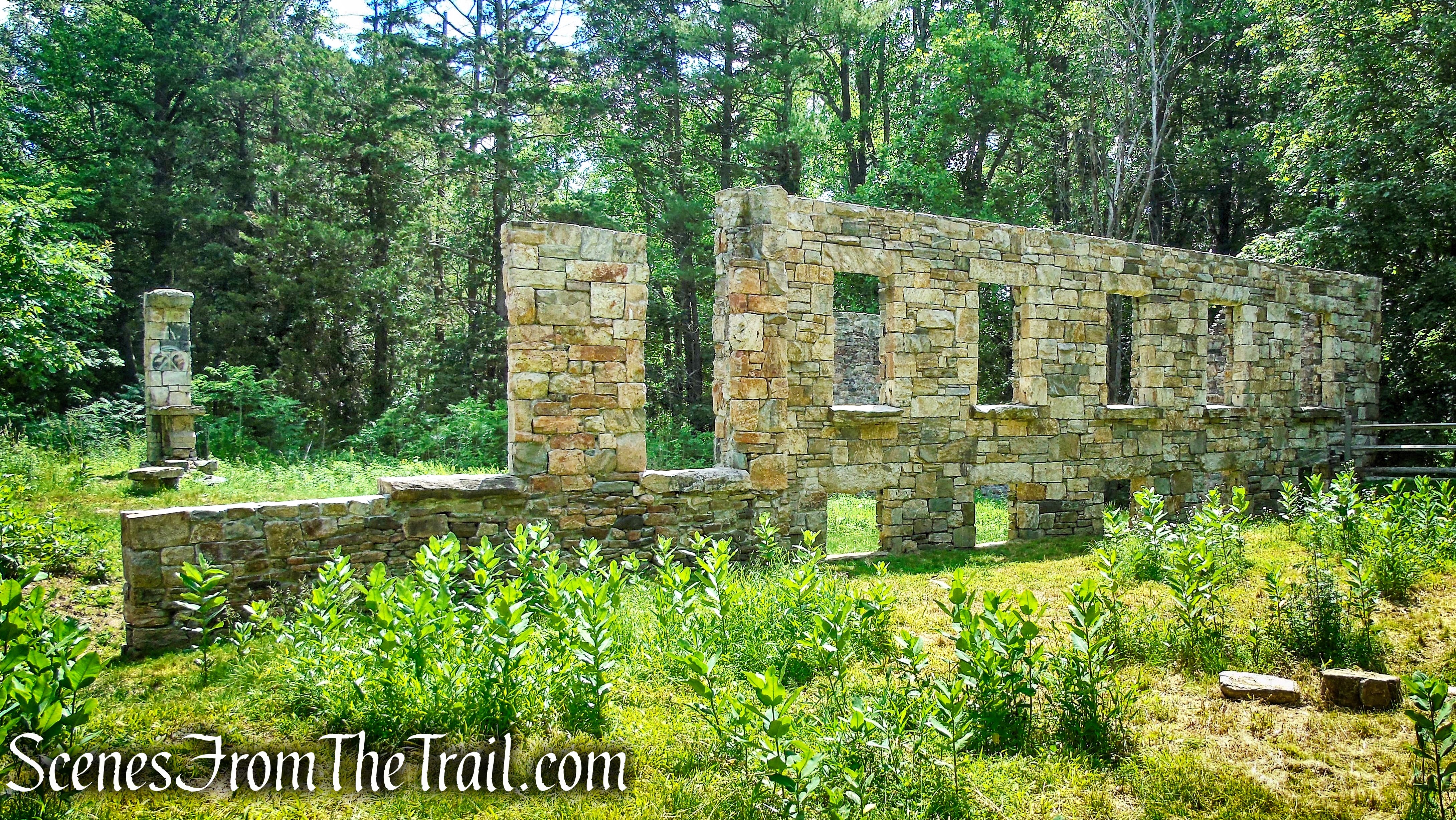 Black Mansion ruins - Leon Levy Preserve