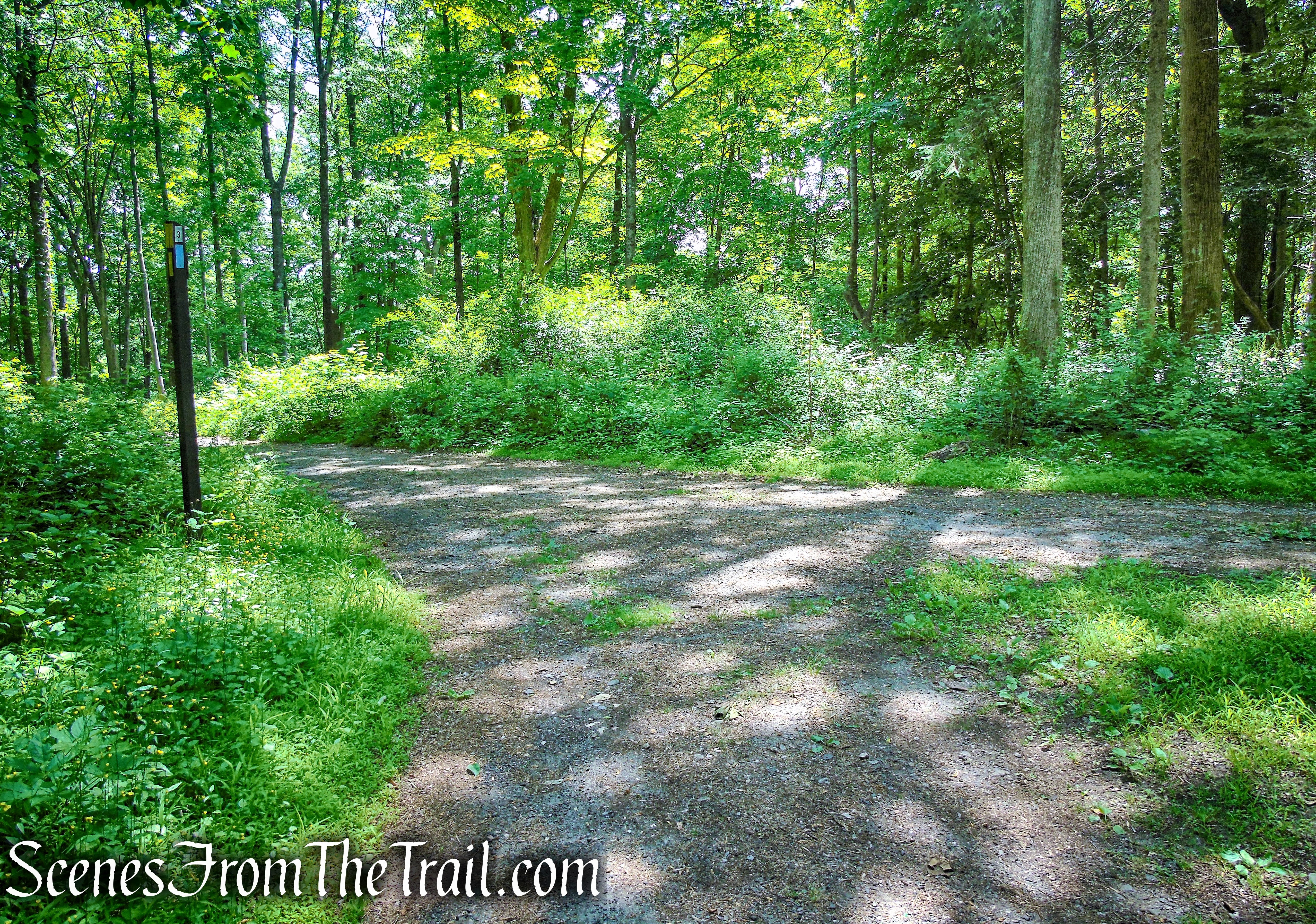 Continue straight past junction 3 onto Blue Trail 