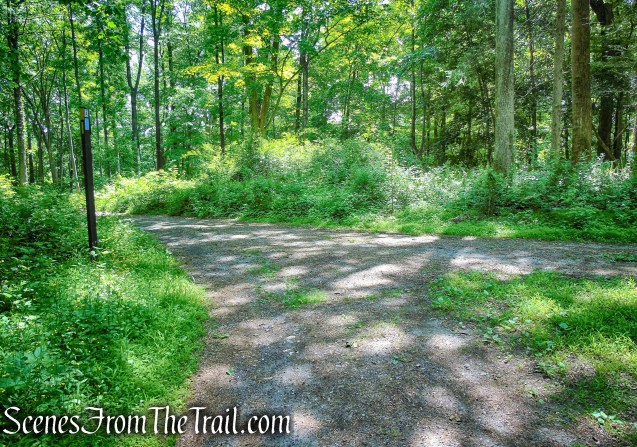 Continue straight past junction 3 onto Blue Trail