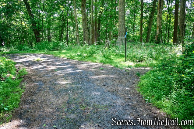 Turn right at junction 2, remaining on Blue Trail