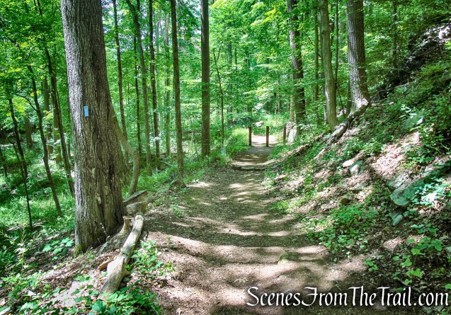 Blue Trail - Leon Levy Preserve